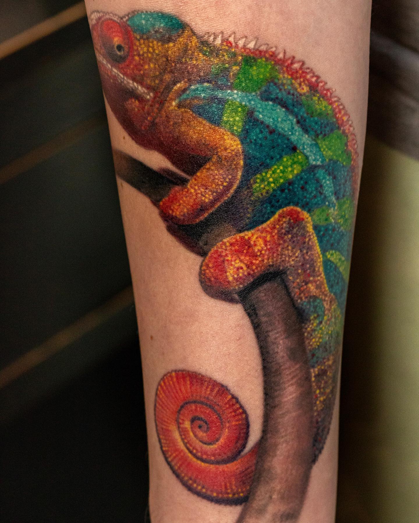 Chameleon dotwork tattoo on the forearm by Jaime Navarro
