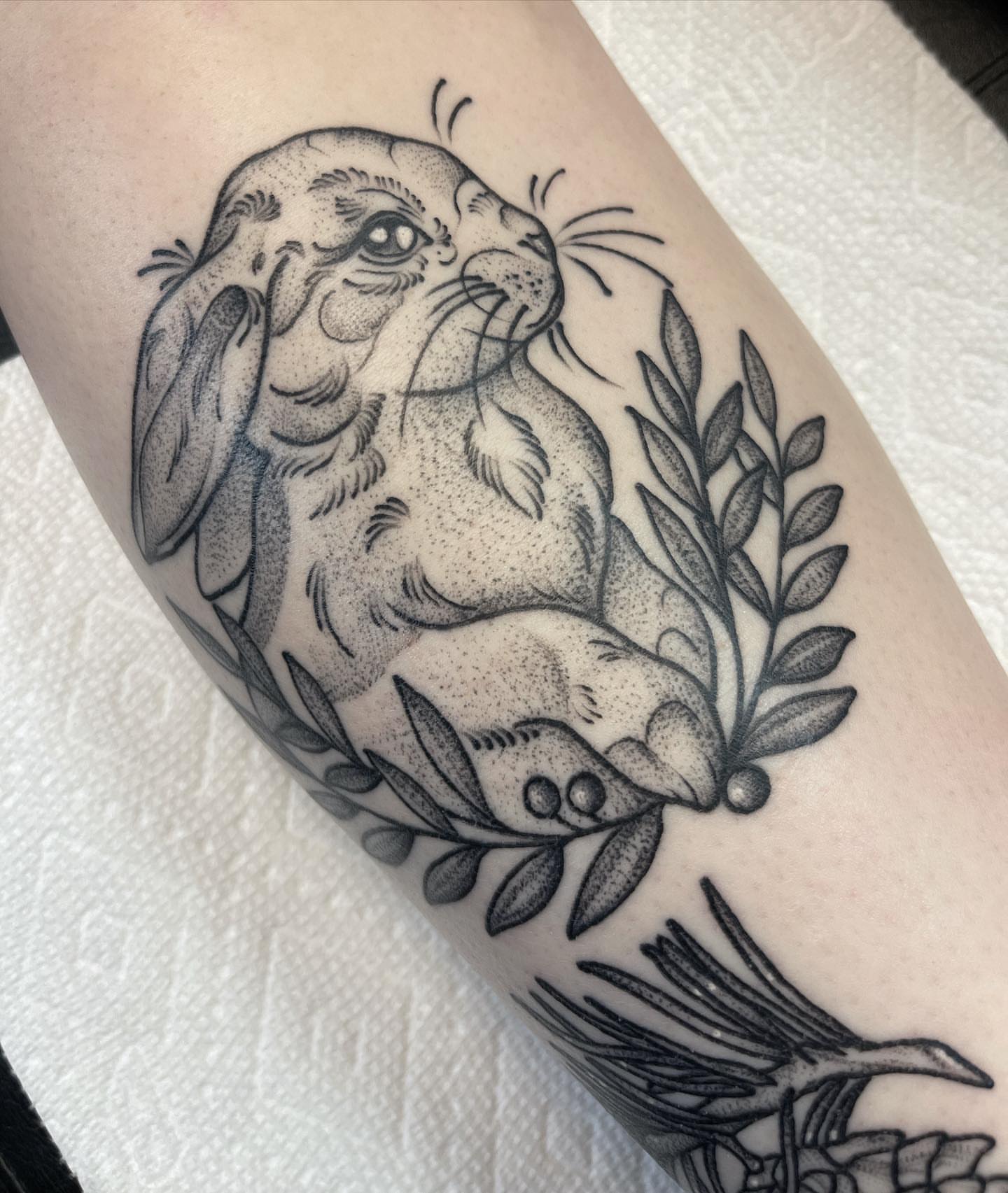 Rabbit dotwork tattoo on the forearm by 𝐀𝐘𝐀𝐍𝐀𝐇