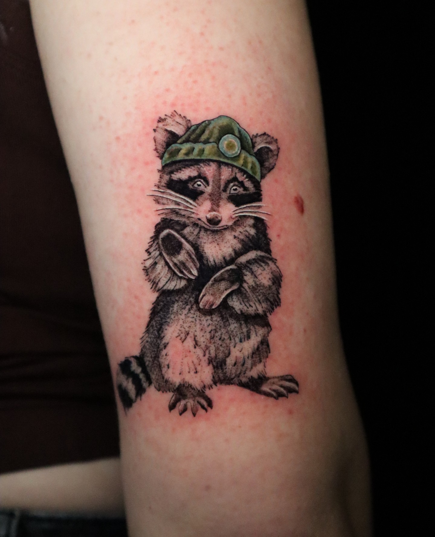 Raccoon wearing hat realism tattoo on the forearm by Shar - Utah Tattoo Artist