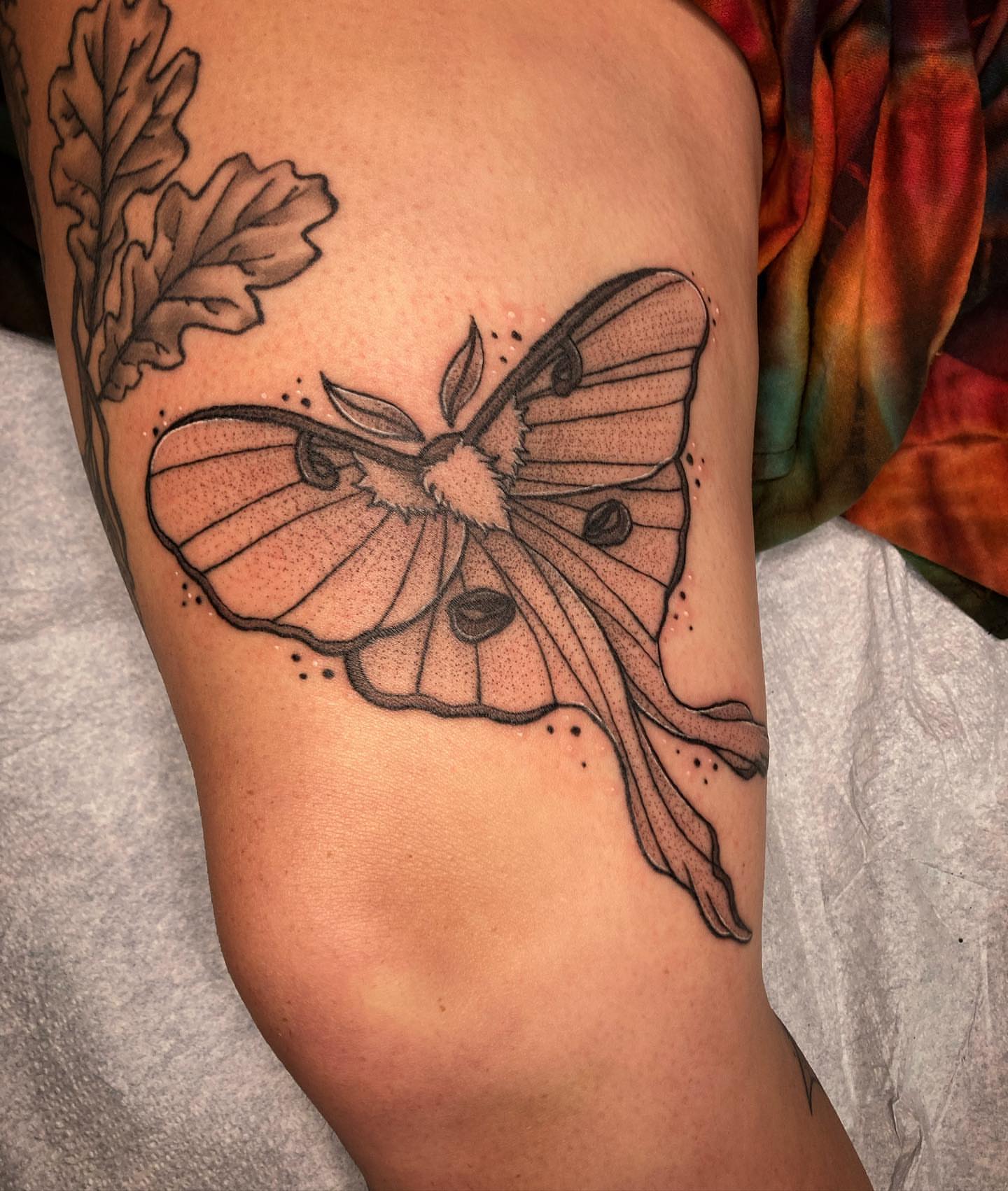 Butterfly dotwork tattoo on the thigh by โจ๐๐๐ฑ๐ฑ๐ฌ๐ฌ๐ฐ ๐๐ถ ๐๐ฏ๐ฆ๐ซโจ