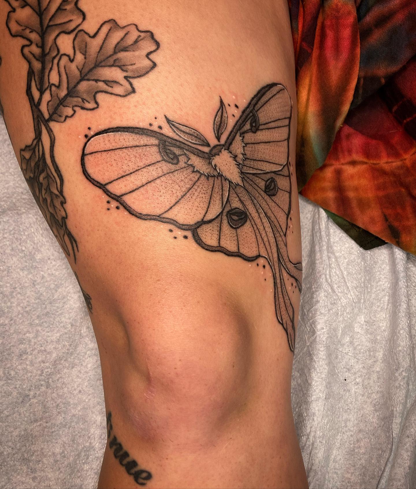 Moth dotwork tattoo on the thigh by โจ๐๐๐ฑ๐ฑ๐ฌ๐ฌ๐ฐ ๐๐ถ ๐๐ฏ๐ฆ๐ซโจ