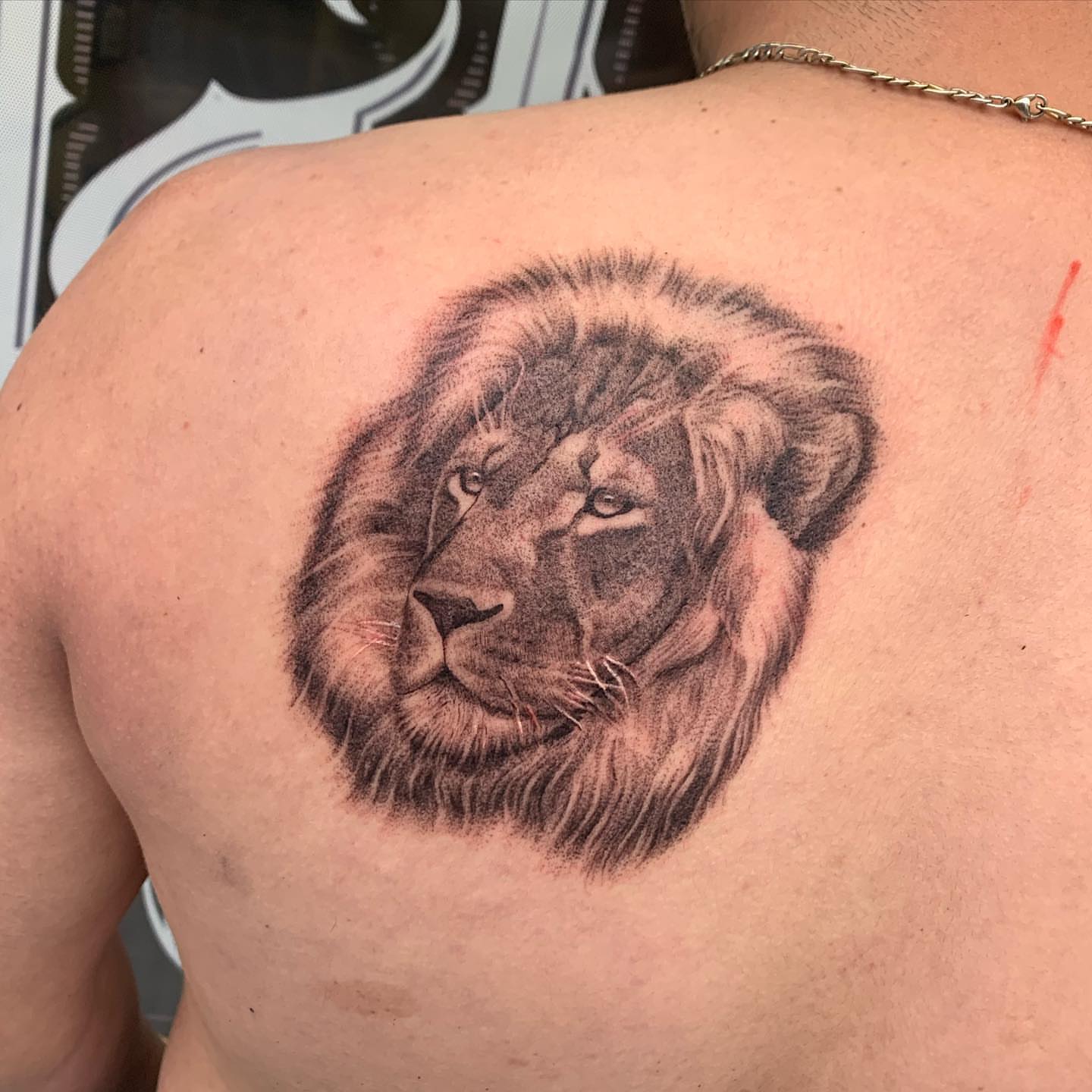 Tattoo by @lvp_arte — realism