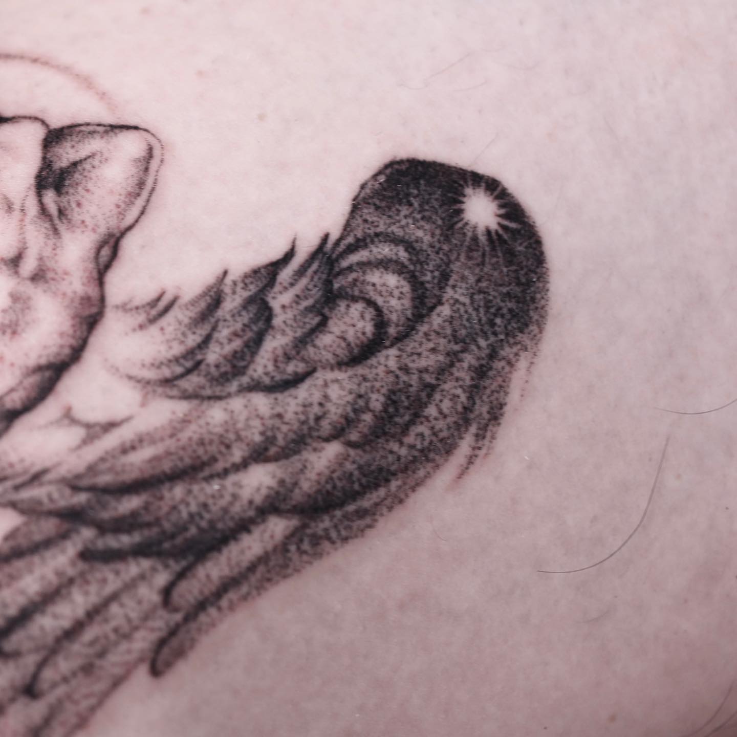 Bird dotwork tattoo on the forearm by Anna Chernova, San Francisco, California