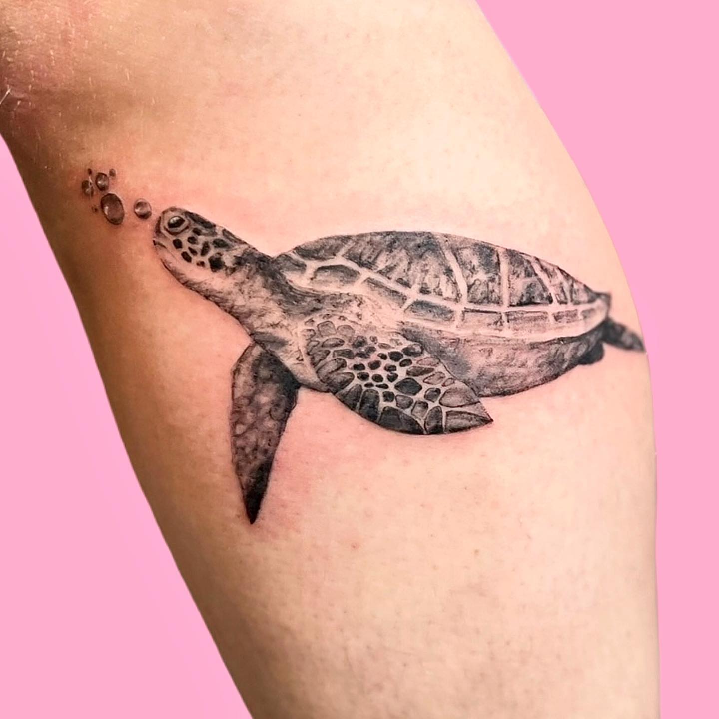 Turtle realism tattoo on the thigh by π©ππ π