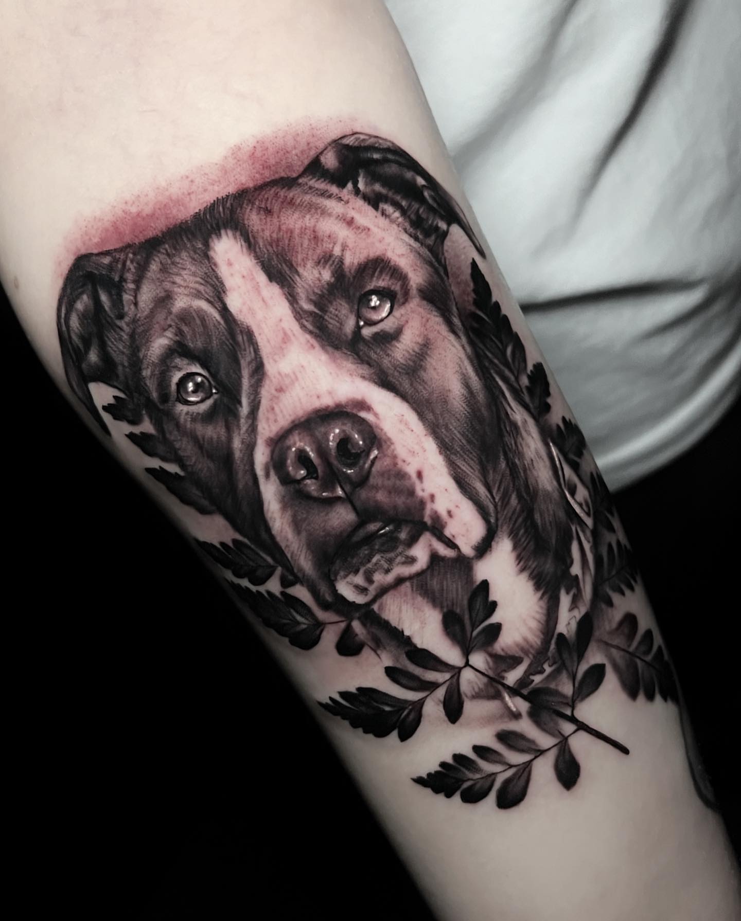 Dog portrait realism tattoo on the forearm by Matt Misiak