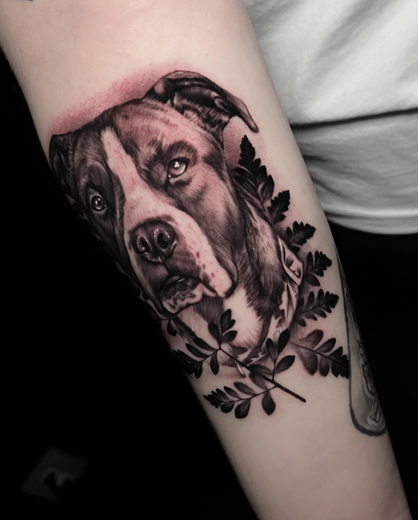 Dog realism tattoo on the forearm by Matt Misiak