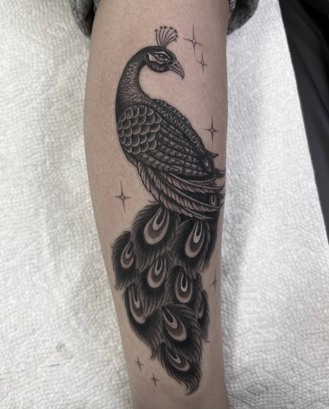 Peacock black and grey tattoo on the forearm by Valerie Dominguez