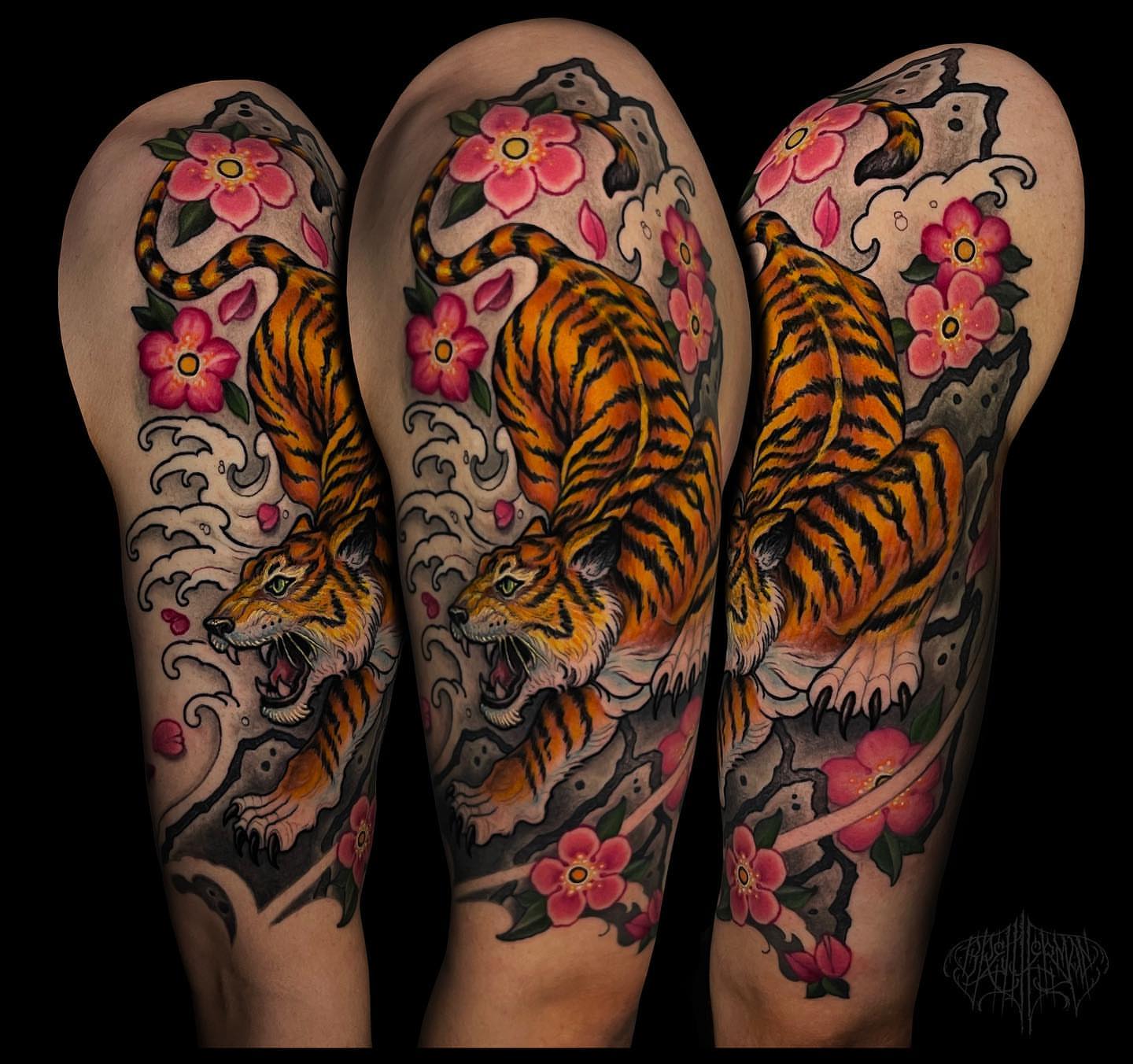 Tiger and cherry blossoms American traditional tattoo on the forearm by Brett Herman, Denver, Colorado