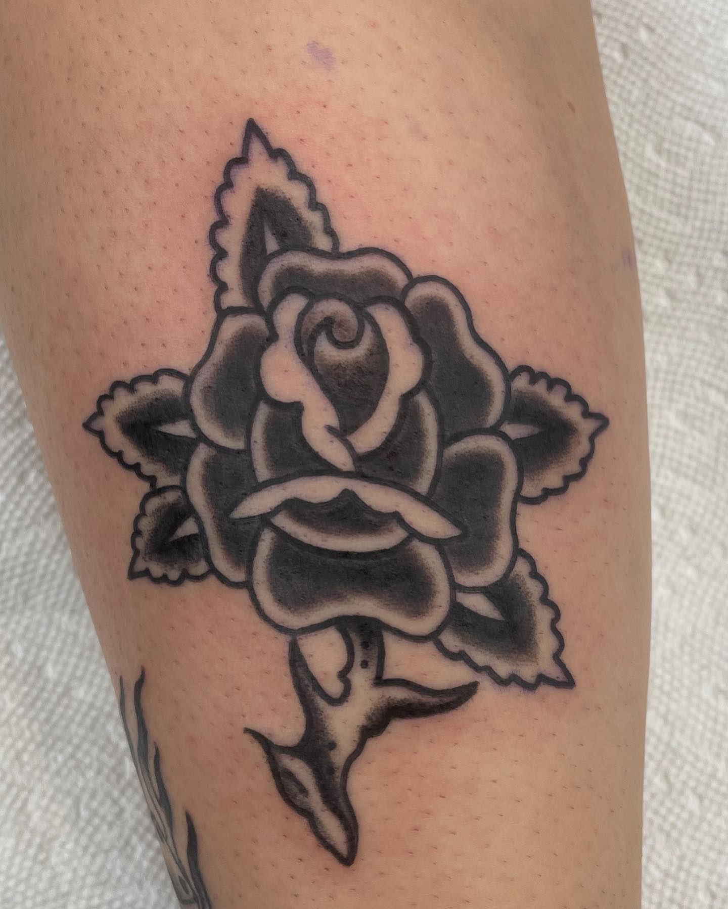Rose black and grey tattoo on the forearm by Seth Griffin