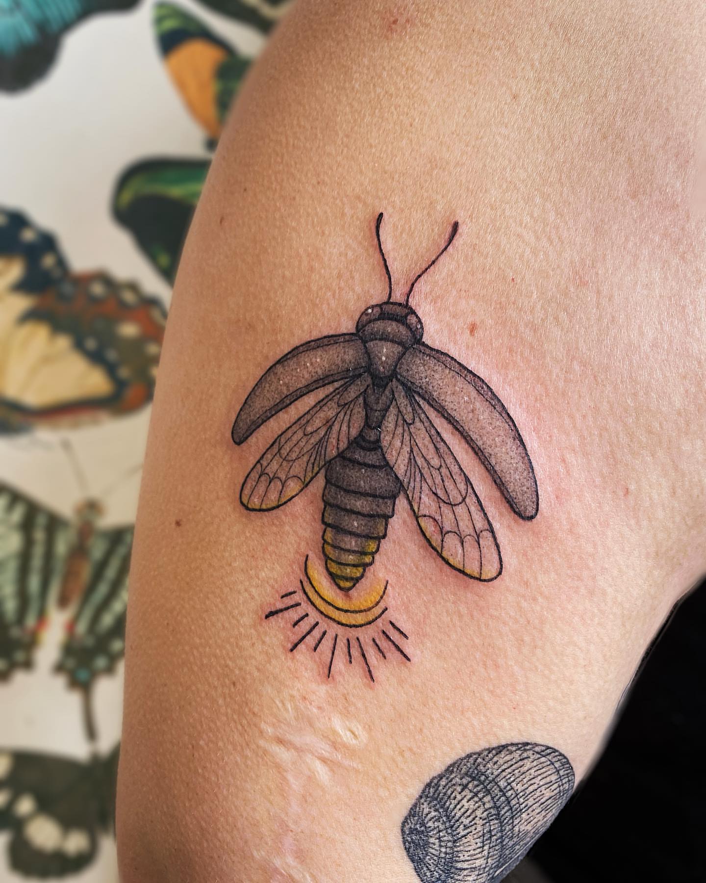 Moth realism tattoo on the forearm by Mallory Miller π³οΈβπ Eugene