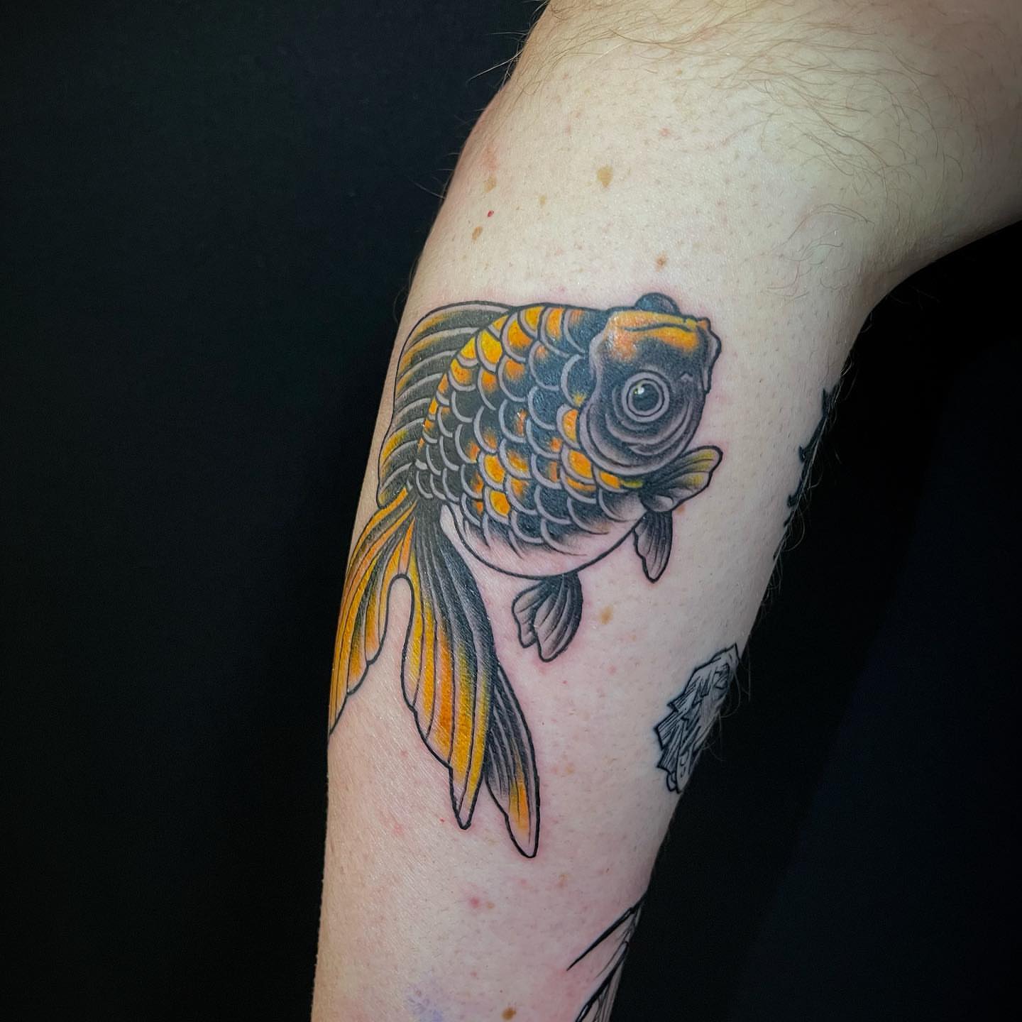 Koi fish American traditional tattoo on the forearm by Lexx Christine