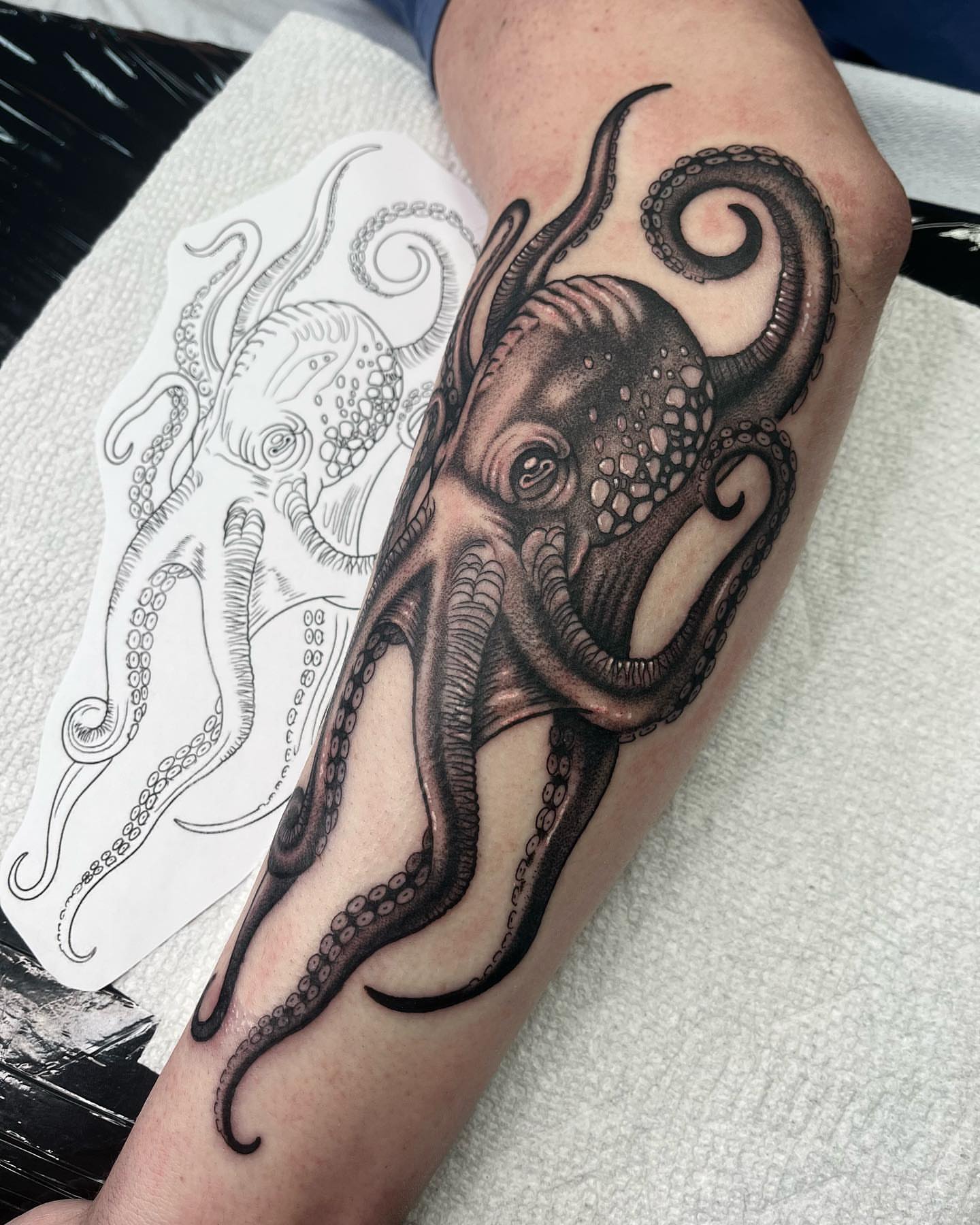 Octopus realism tattoo on the forearm by ๐๐๐๐๐๐๐