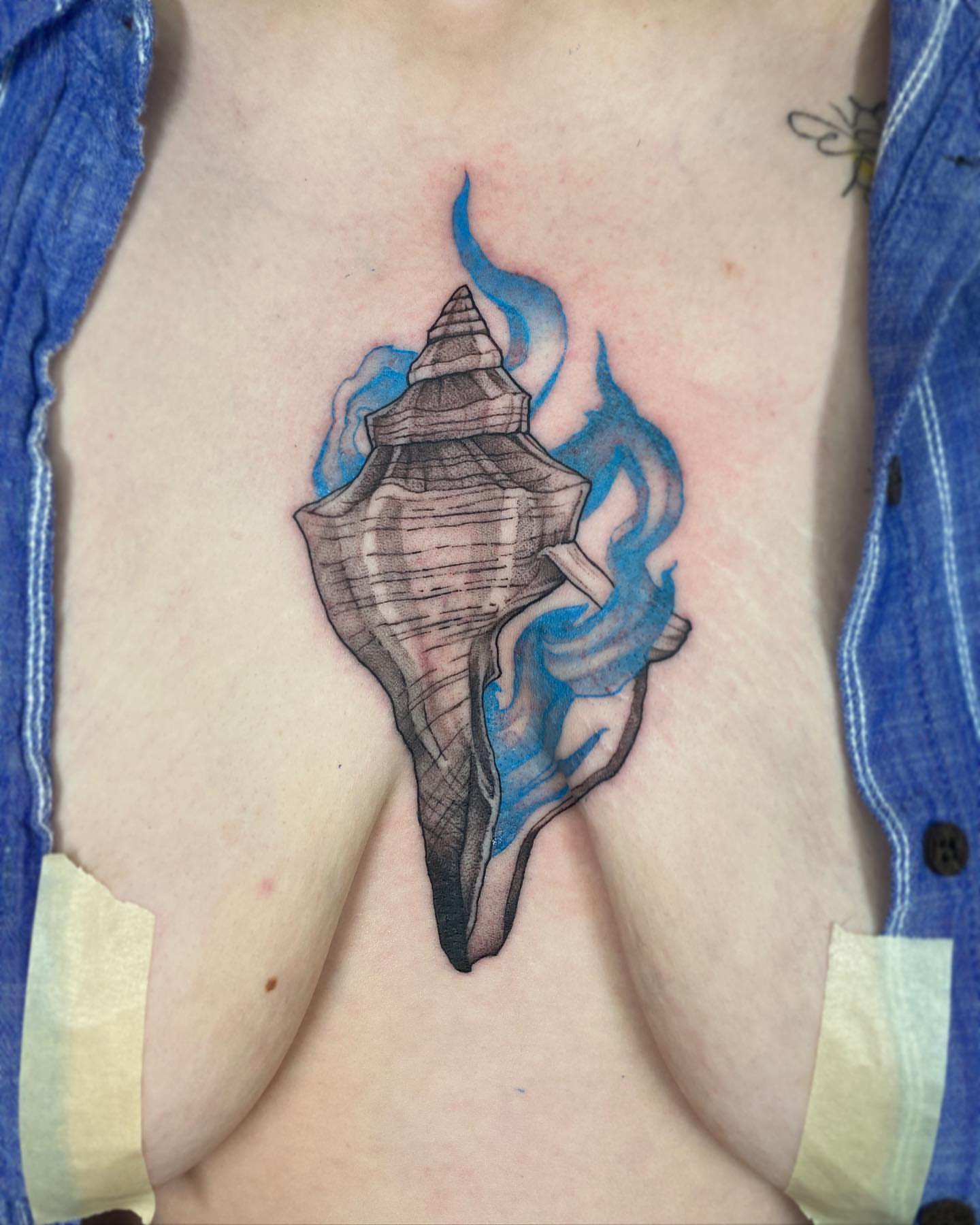 Conch shell black and grey tattoo on the chest by Tattoo Artist