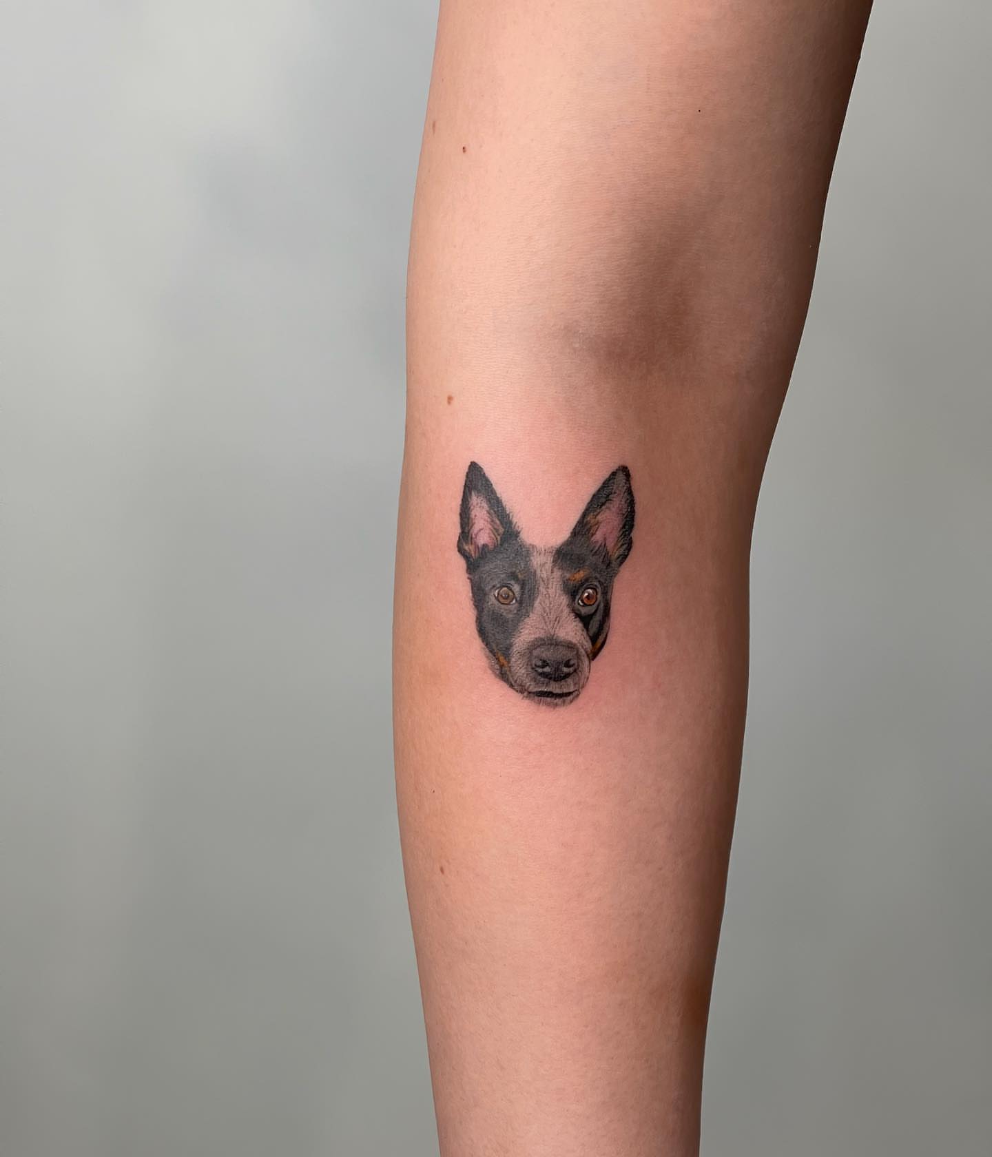 Dog head realism tattoo on the forearm by Seattle Tattoo Artist PingPing, Seattle, Washington