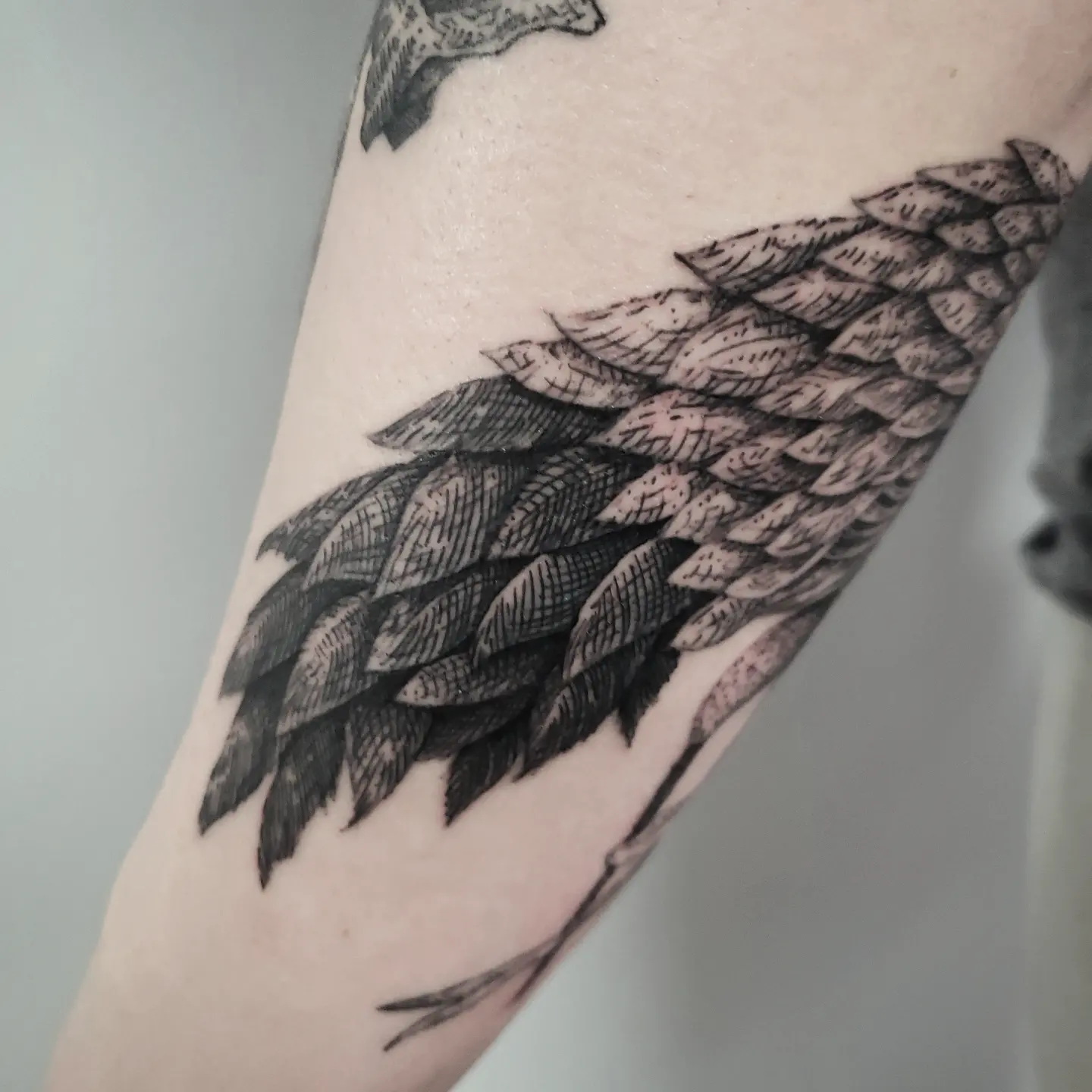 Tattoo by @kritrv — black_and_grey
