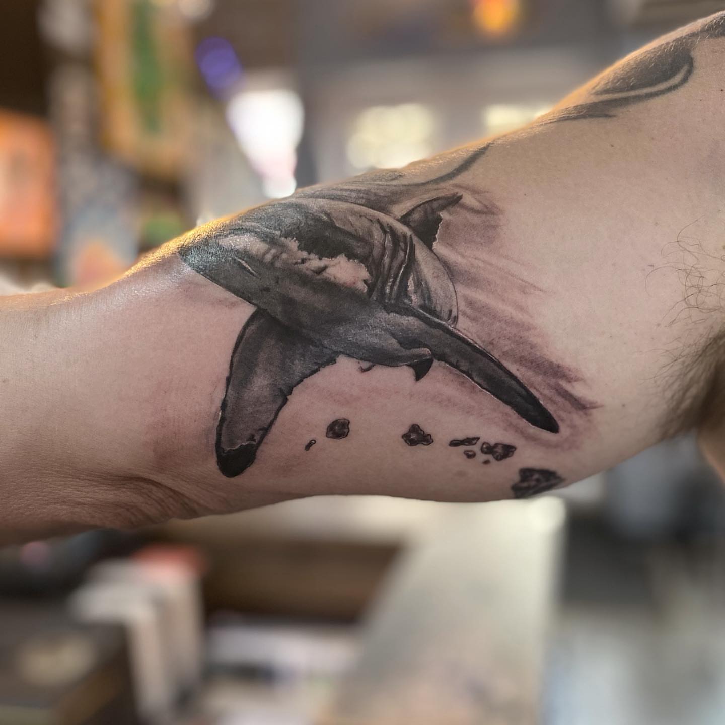 Shark realism tattoo on the forearm by Sela ✨Las Vegas Tattoo Artist