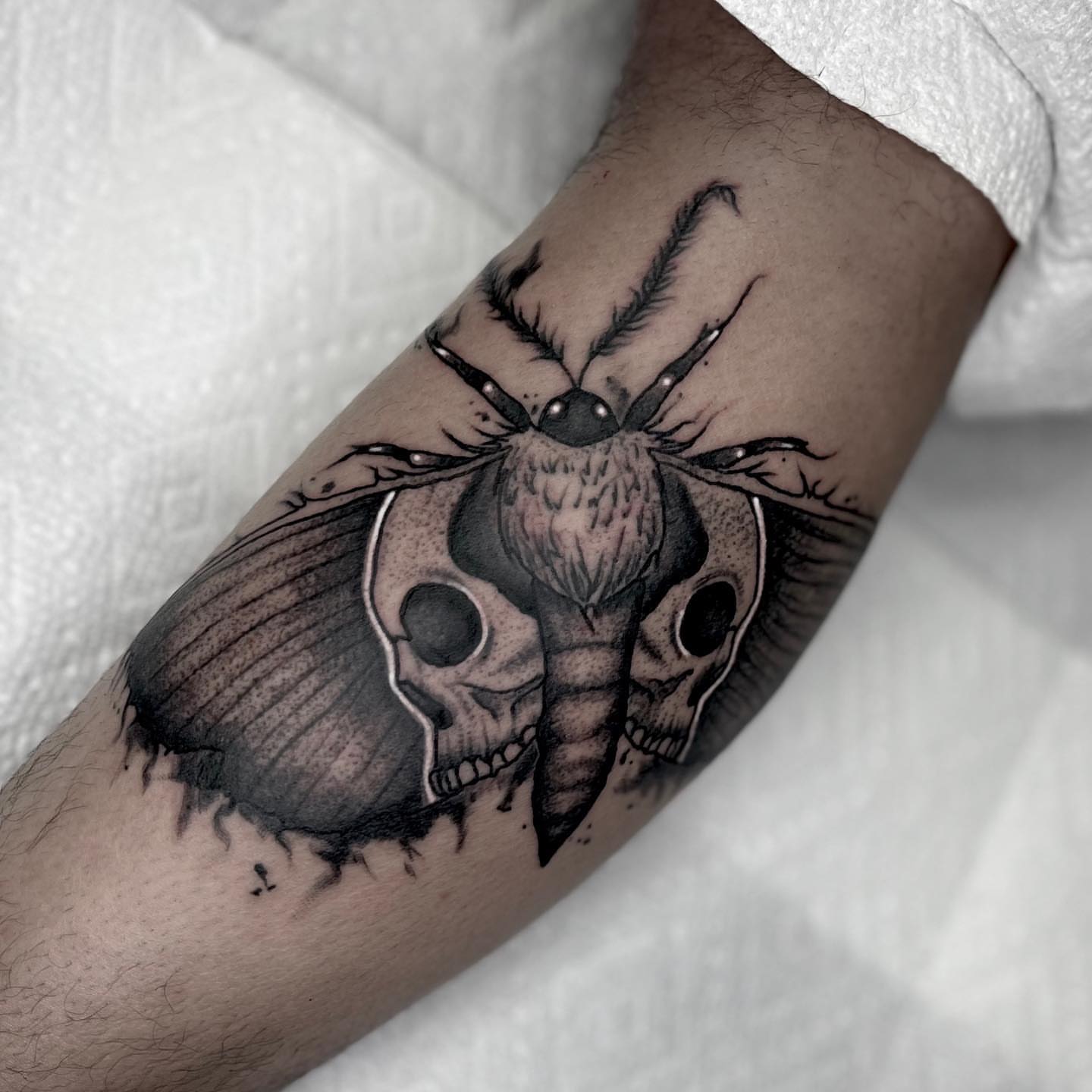 Moth skull realism tattoo on the forearm by Las Vegas Tattoo ⚡️dark Art⚡️