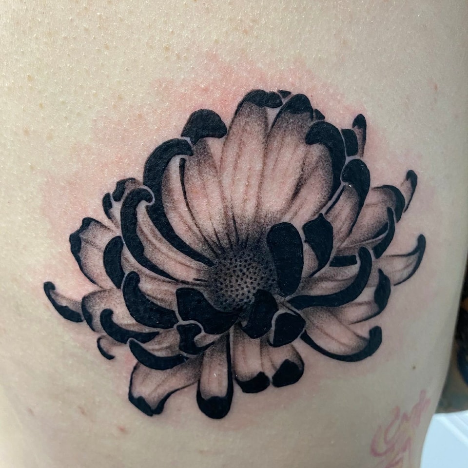 Chrysanthemum black and grey tattoo on the shoulder by Ｔｏｍ Ｌｏｒａｎｚ