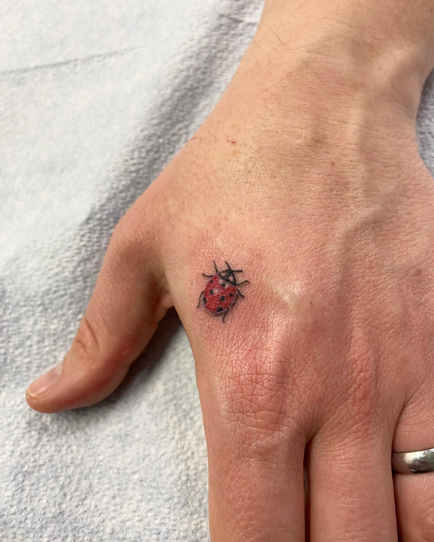 Ladybug realism tattoo on the hand by ⛓Ireland tattoo⛓