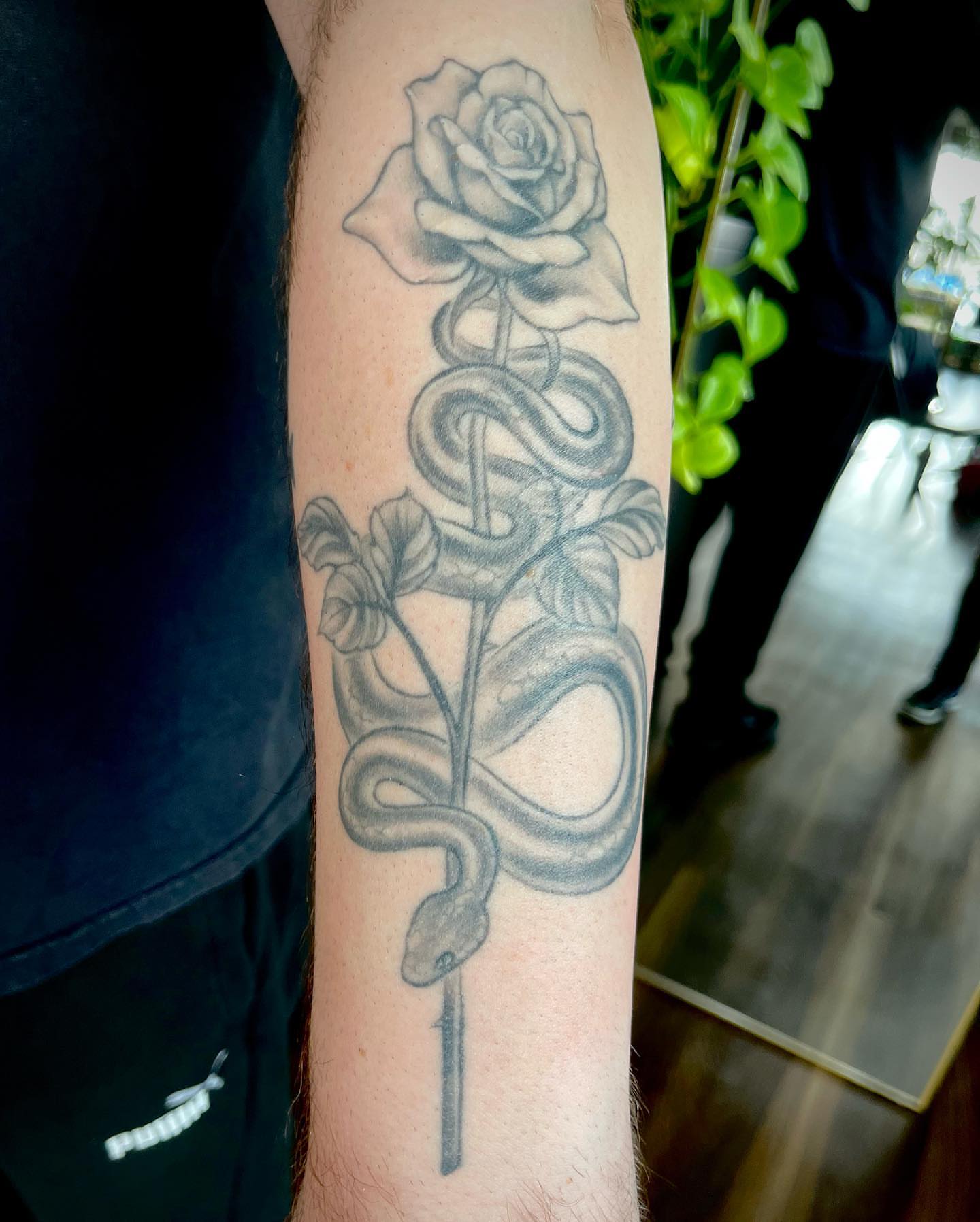 Snake and rose black and grey tattoo on the forearm by Chelsea Youngblood, Seattle, Washington