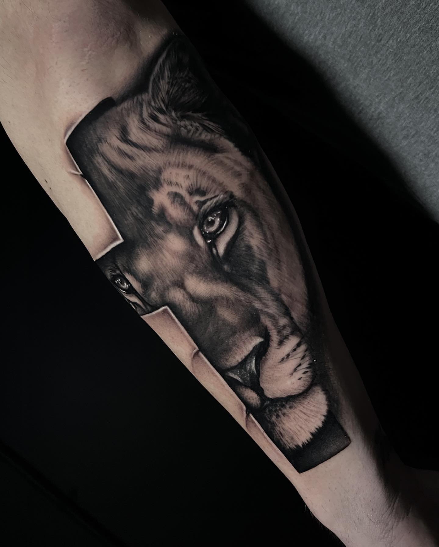 Lion realism tattoo on the forearm by Matt Misiak