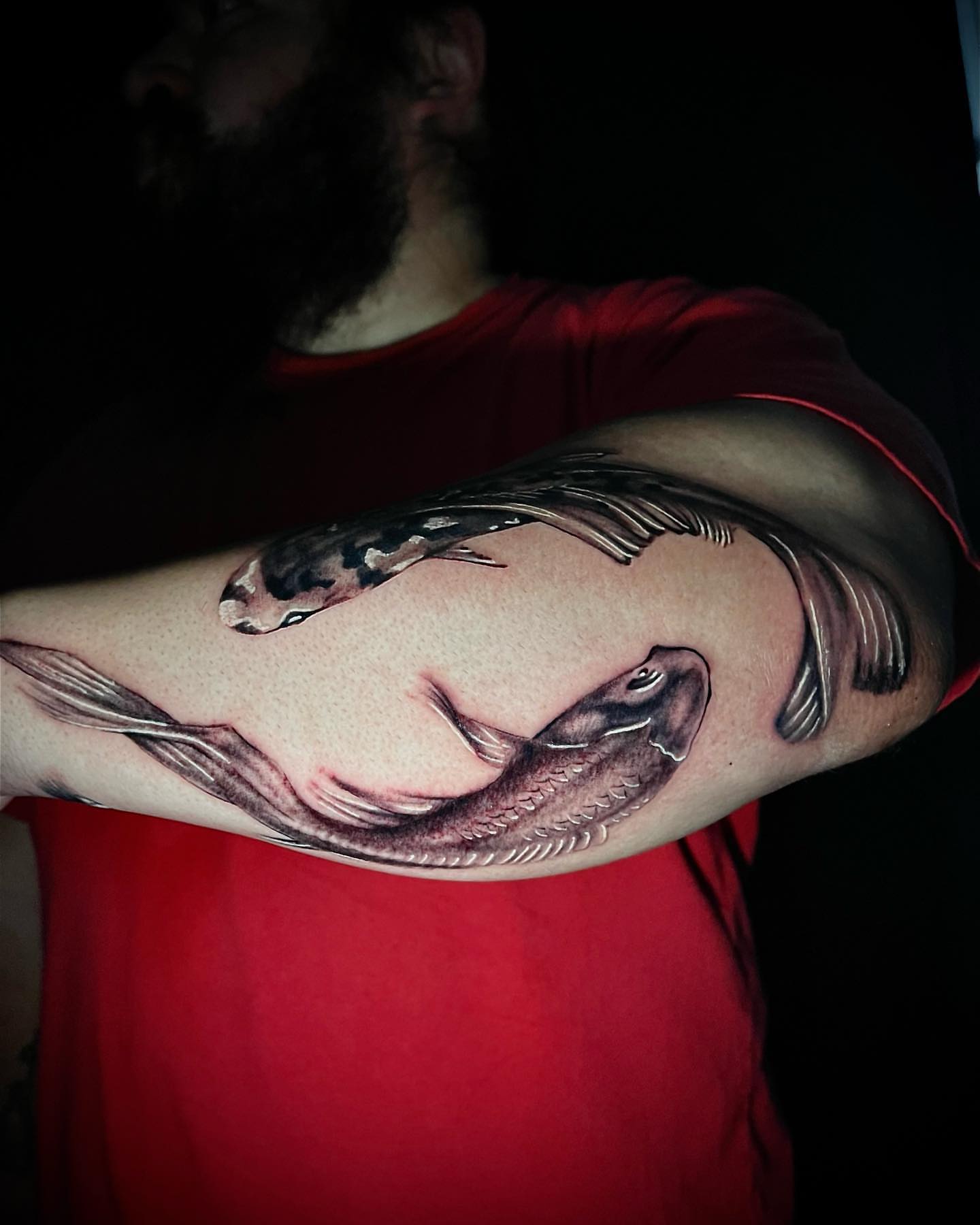 Koi fish realism tattoo on the forearm by BillydaKid