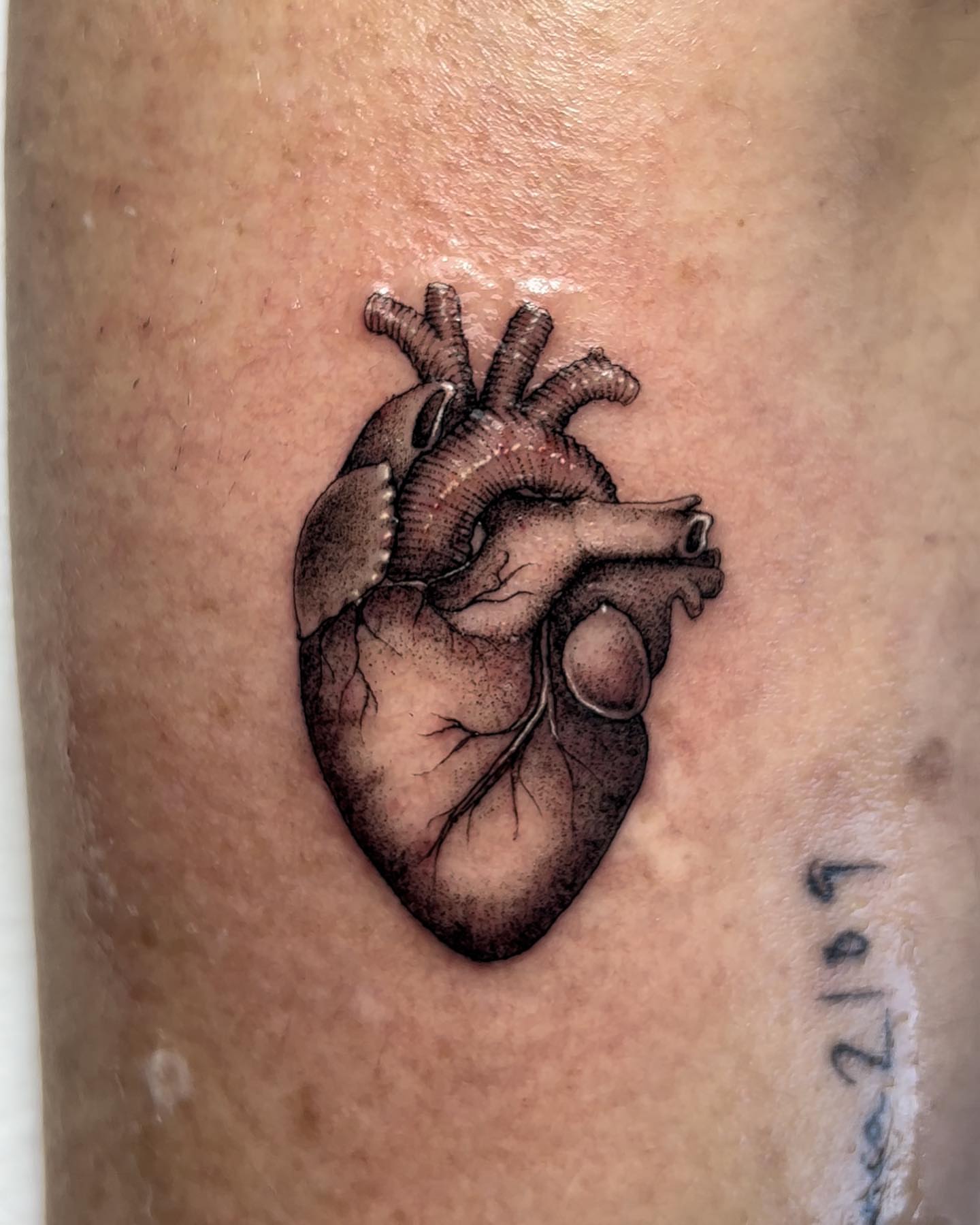 Tattoo by @connalcreates — realism