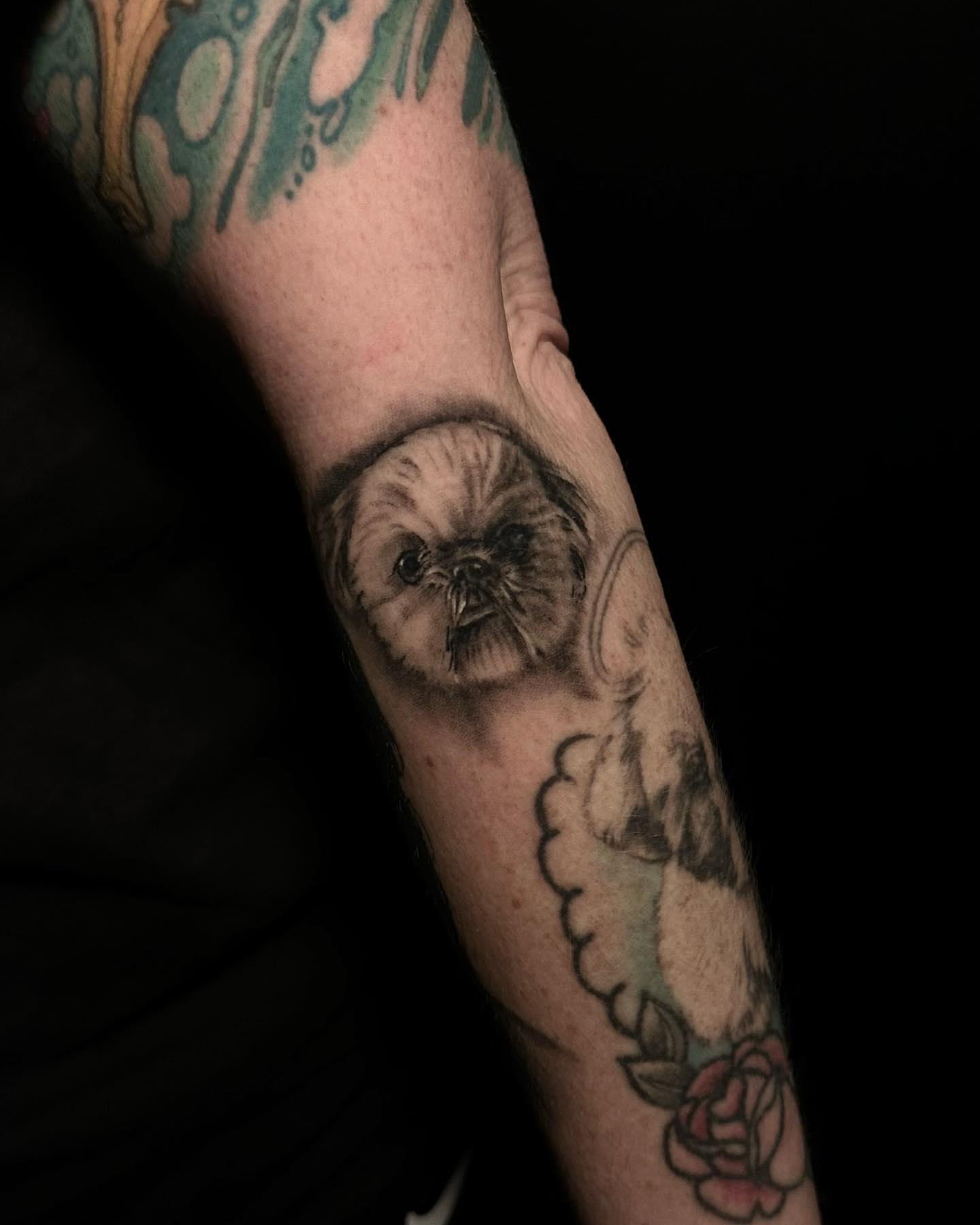 Pug realism tattoo on the forearm by Blake Owens, Nashville, Tennessee