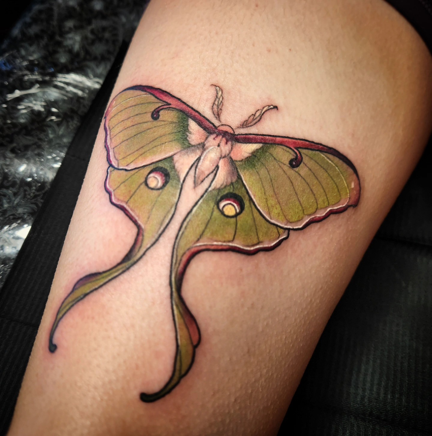 Moon moth realism tattoo on the thigh by Ben Friday, Phoenix, Arizona