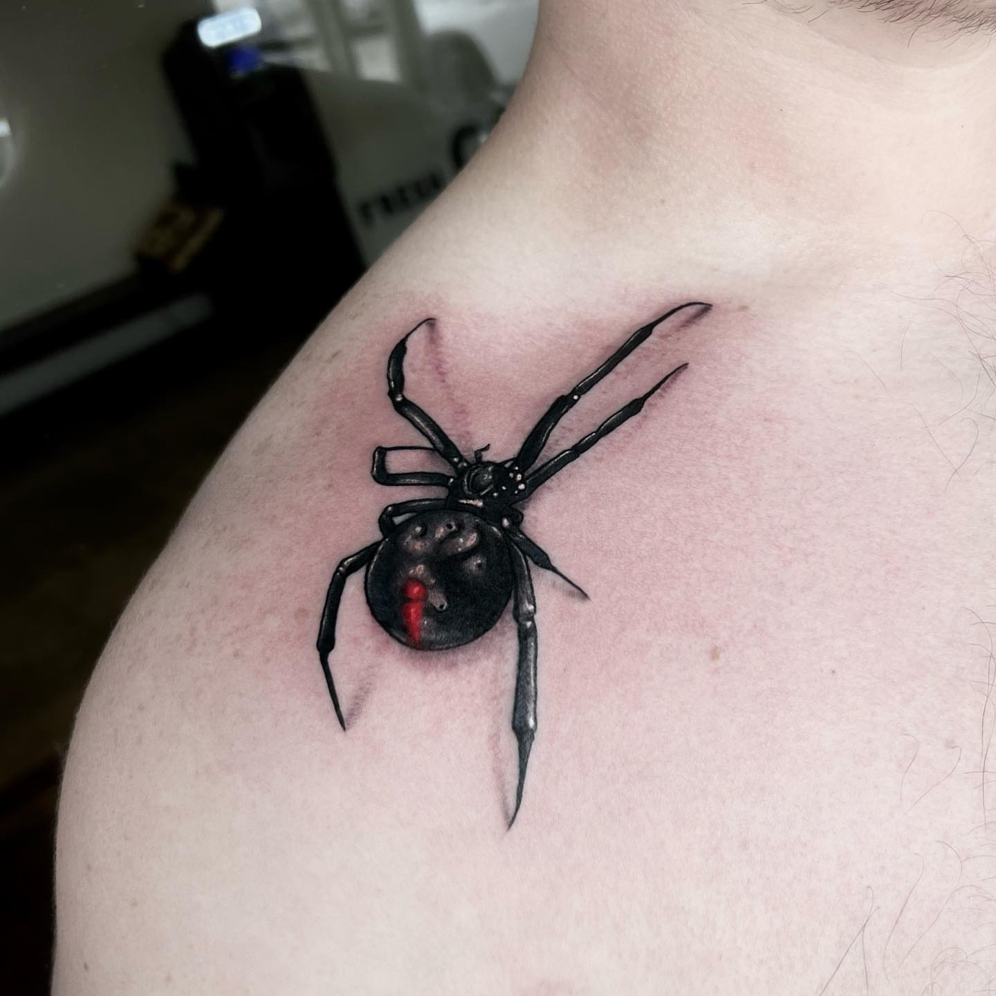 Black widow spider realism tattoo on the shoulder by 𝖎 𝖆𝖒 𝖗𝖔𝖙𝖙𝖎𝖓𝖌 𝖜𝖎𝖙𝖍 𝖞𝖔𝖚