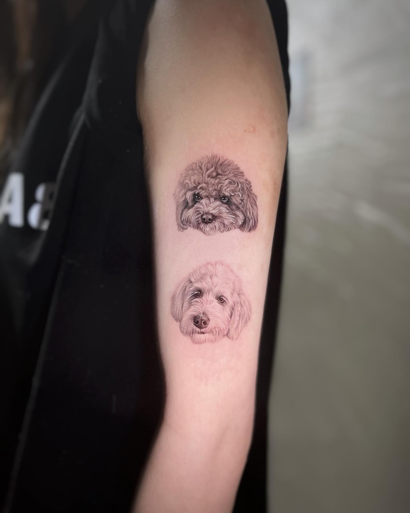 Dog portraits realism tattoo on the forearm by Nana
