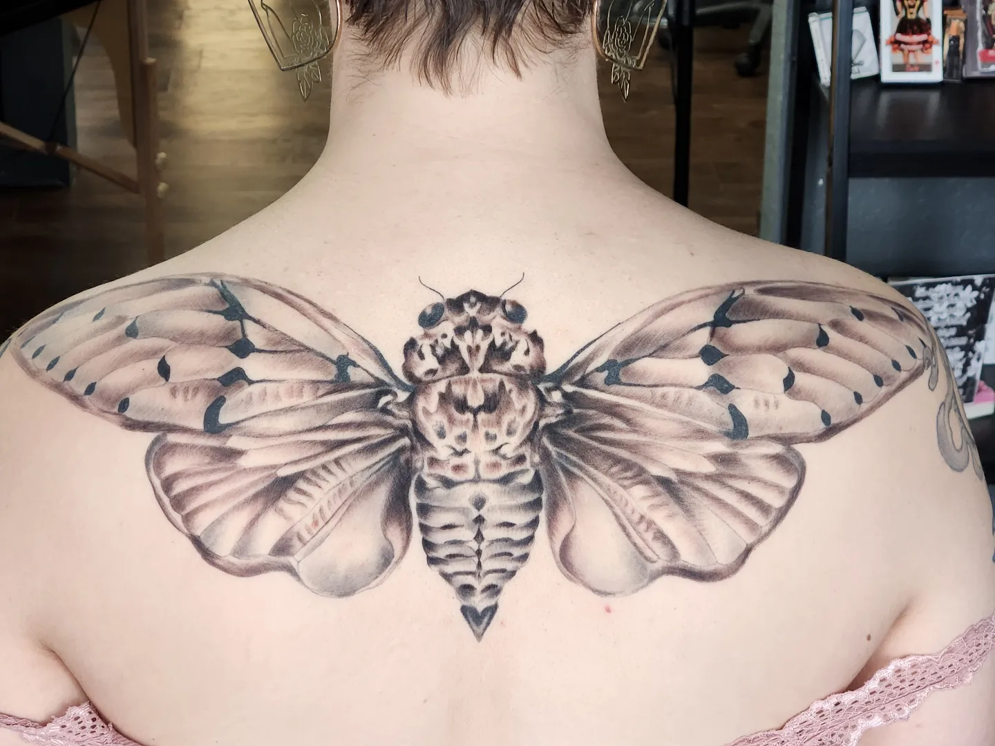 Cicada realism tattoo on the back by Heather