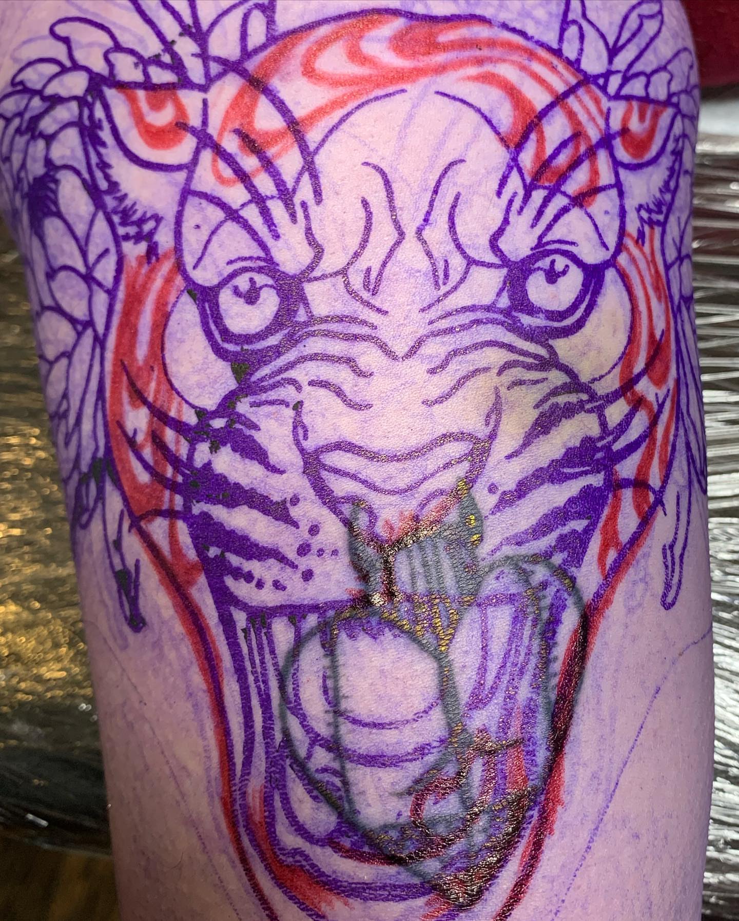 Lion American traditional tattoo on the forearm by ATLANTA Queer Tattooer