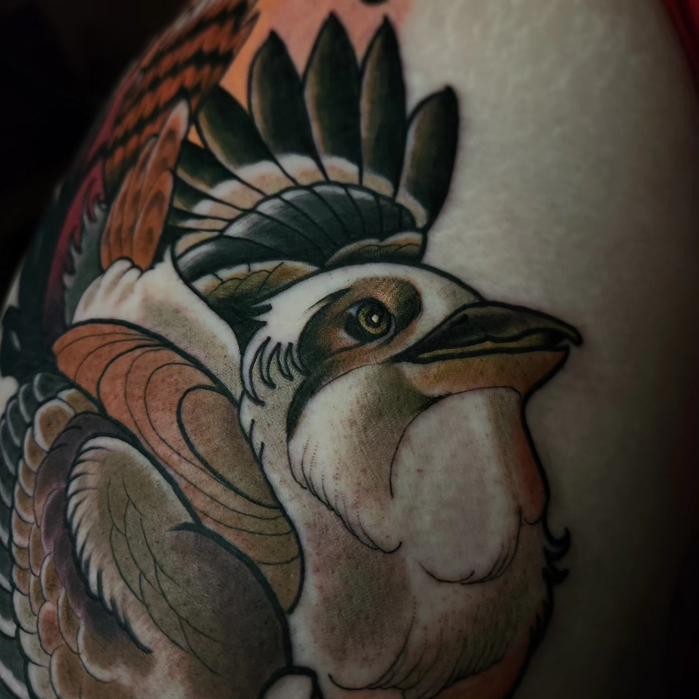 Bird wearing headdress American traditional tattoo on the shoulder by Ben Friday, Phoenix, Arizona
