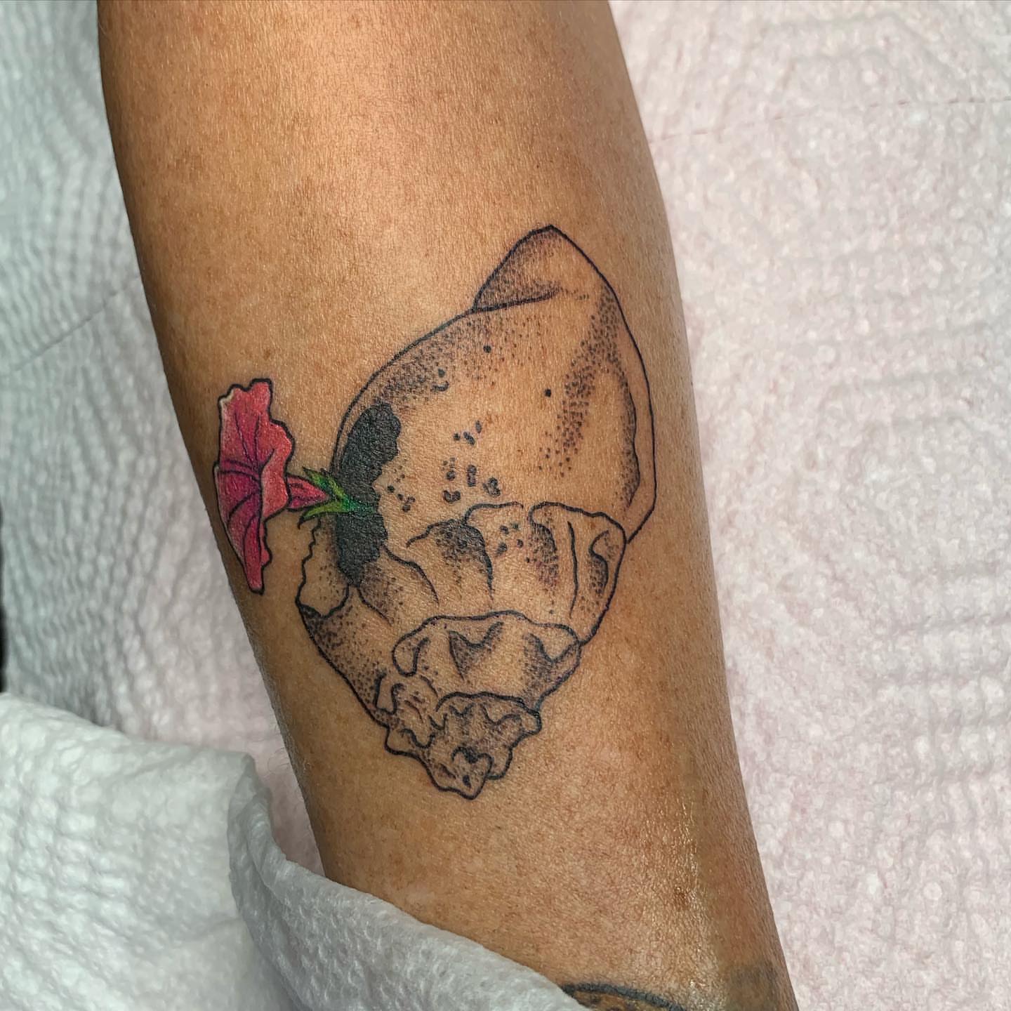 Skull with flower dotwork tattoo on the forearm by ⭒ ʜᴀɪʟᴇʏ ᴍᴇᴛᴢ ⭒