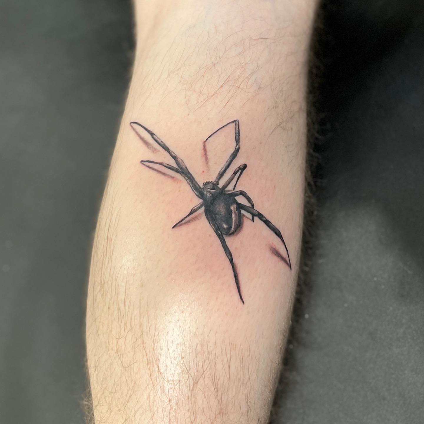 Spider black and grey tattoo on the forearm by Zachary Kaufhold