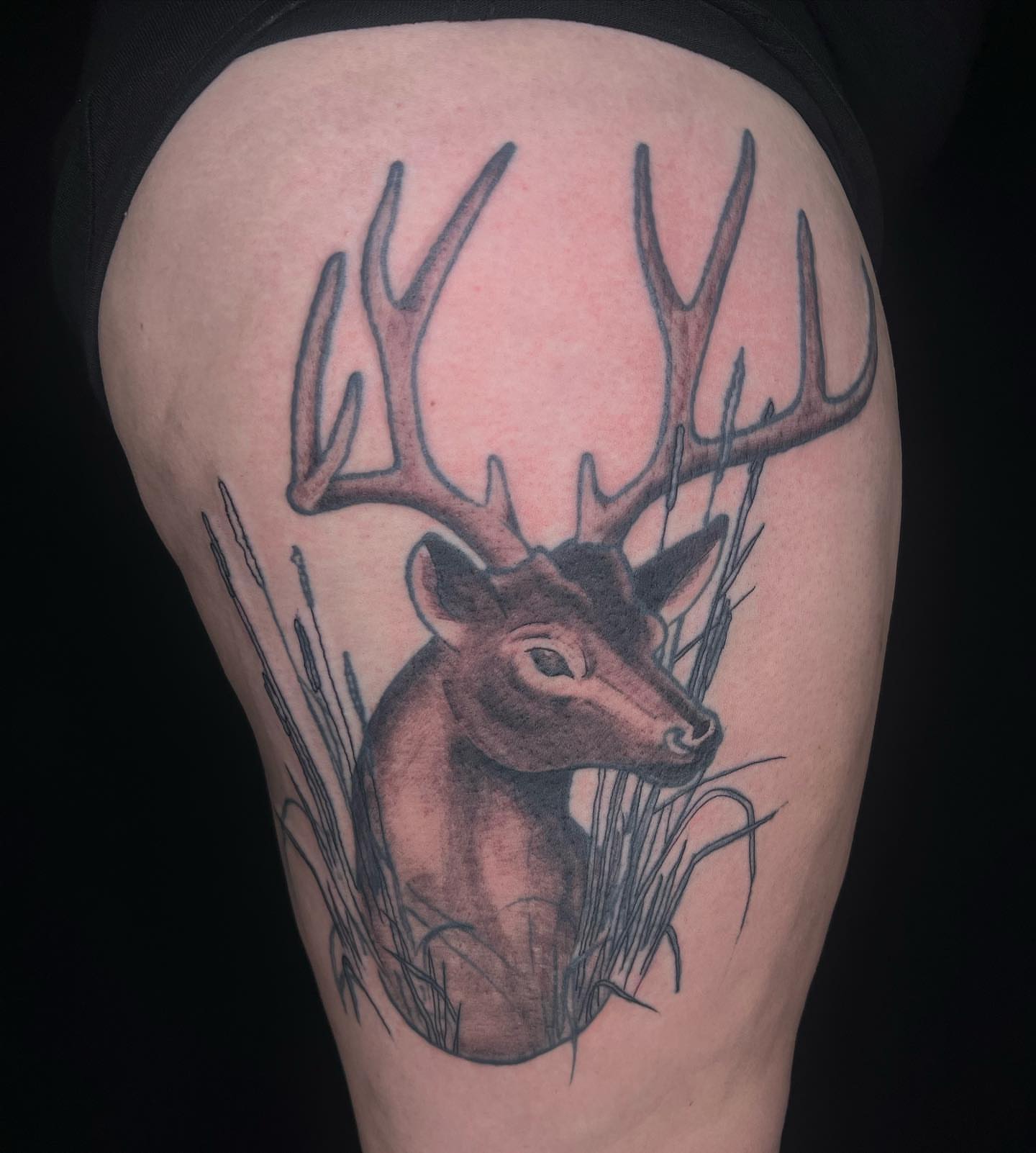 Deer realism tattoo on the thigh by @inkedbybanti