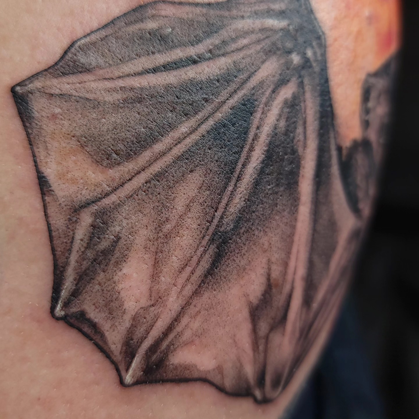 Bat wings black and grey tattoo on the forearm by Ghost