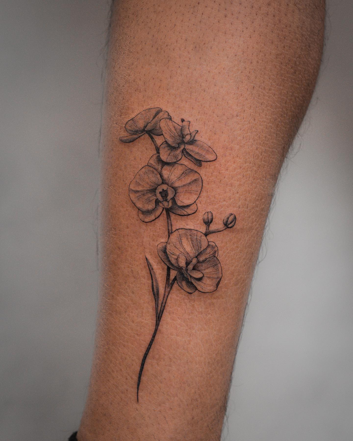 Orchid black and grey tattoo on the forearm by Mateo