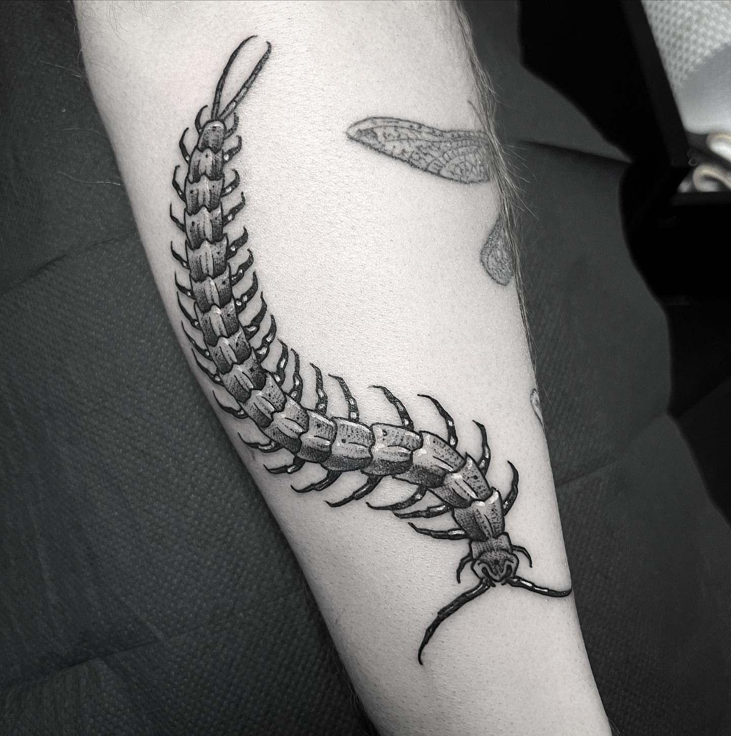 Tattoo by @carterclvn — black_and_grey