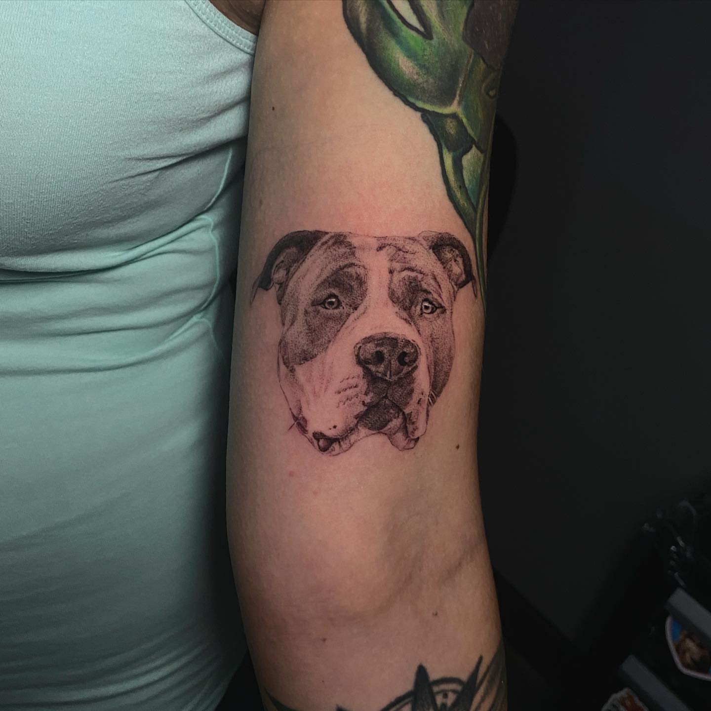 Pit bull dotwork tattoo on the forearm by Sydney Dixon, Sacramento, California