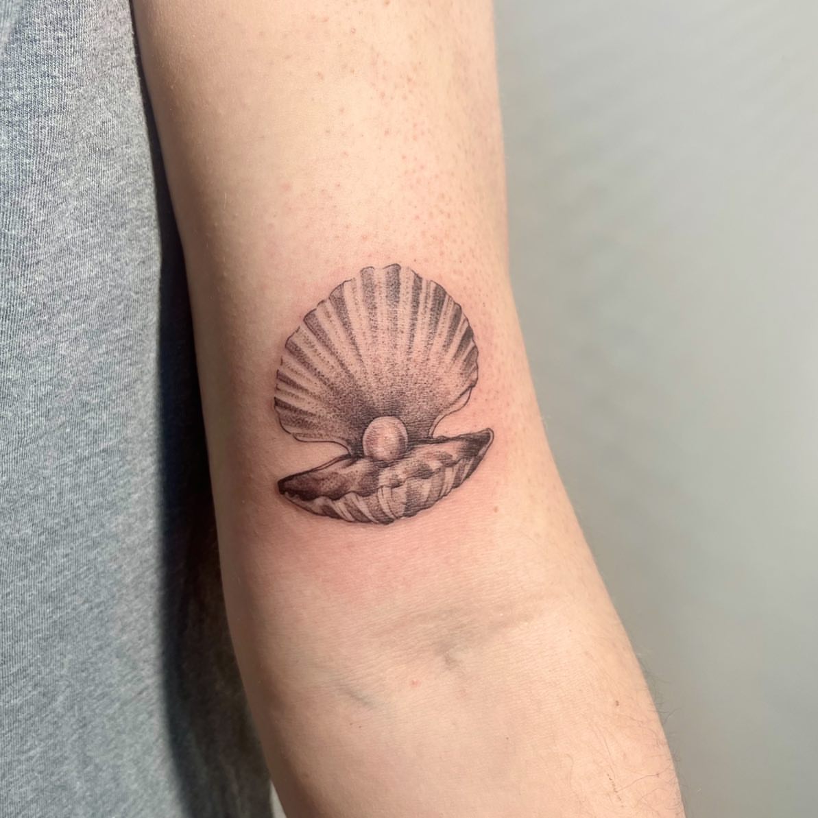 Shell dotwork tattoo on the forearm by 𓆏 Alyssa Carbonara 𓆏