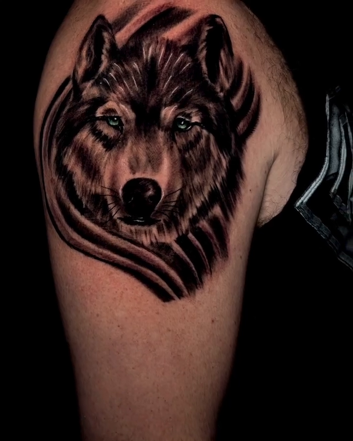 Wolf portrait realism tattoo by Jacob Martin, Toledo, Ohio