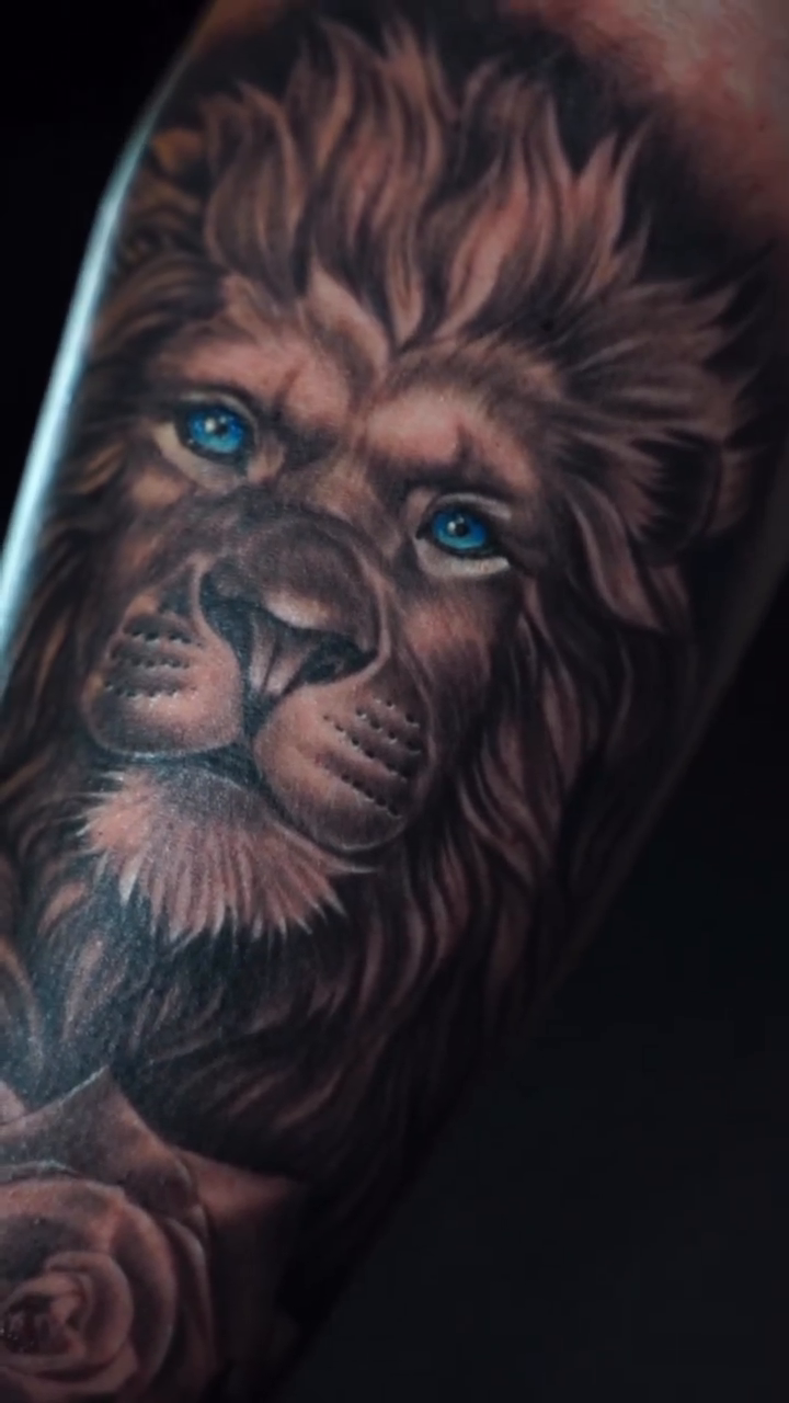 Lion and roses realism tattoo by Amaury Ramirez