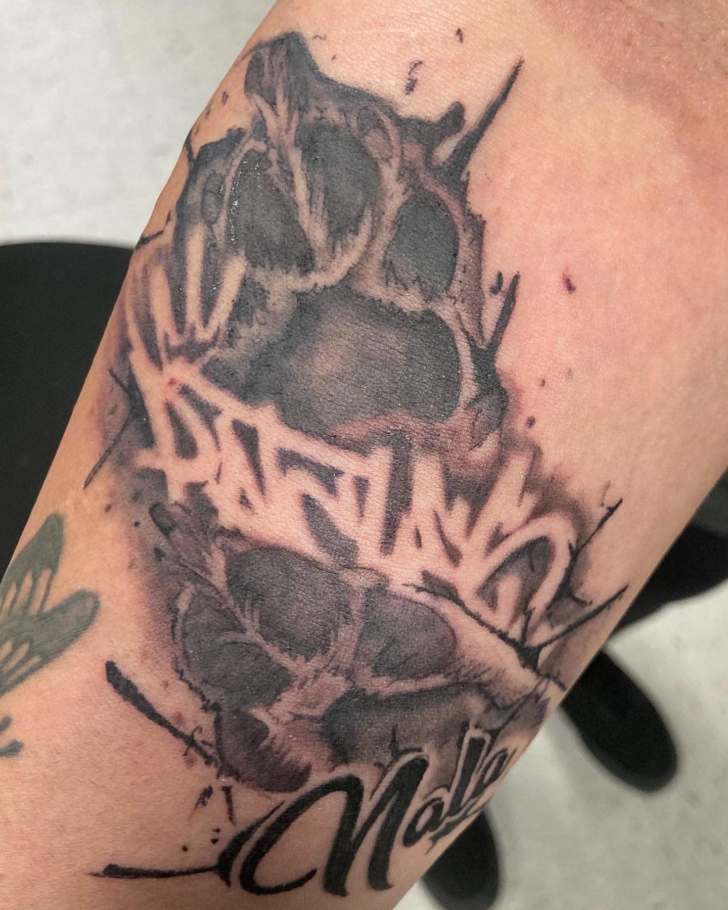 Paw print black and grey tattoo on the forearm by Hot Dawg