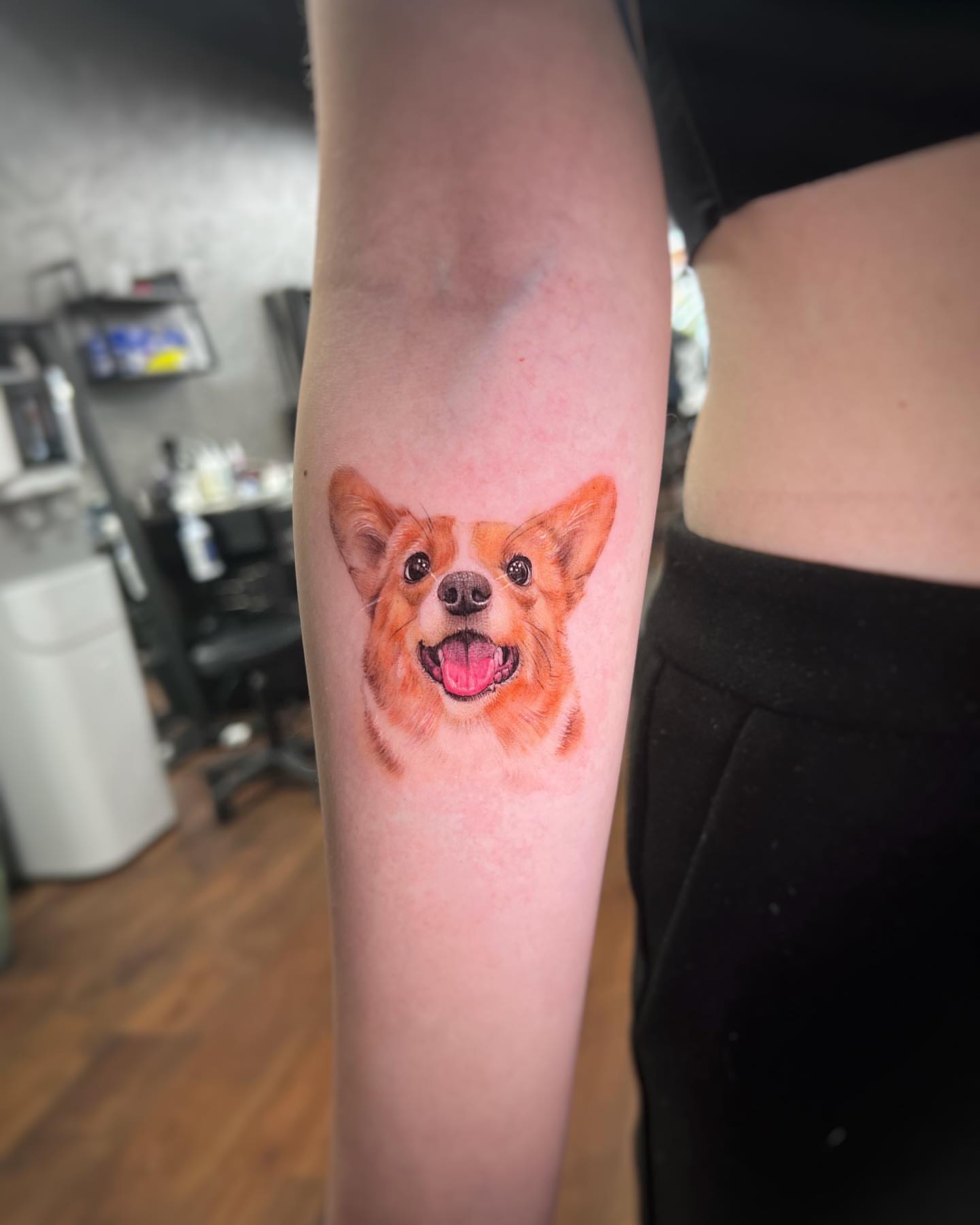 Corgi realism tattoo on the forearm by Nana