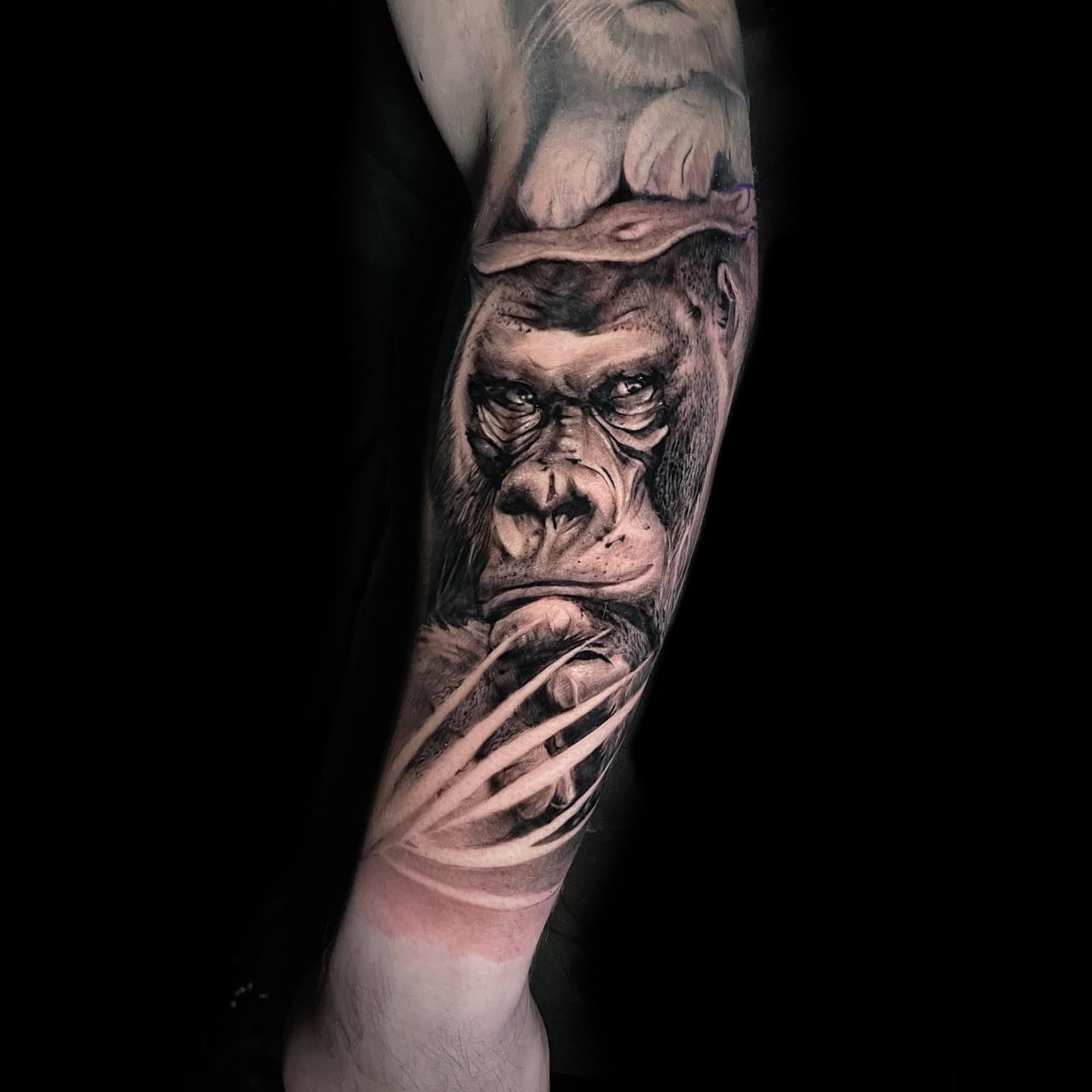 Gorilla realism tattoo on the forearm by Nick Jones (Buttonsandfaders)