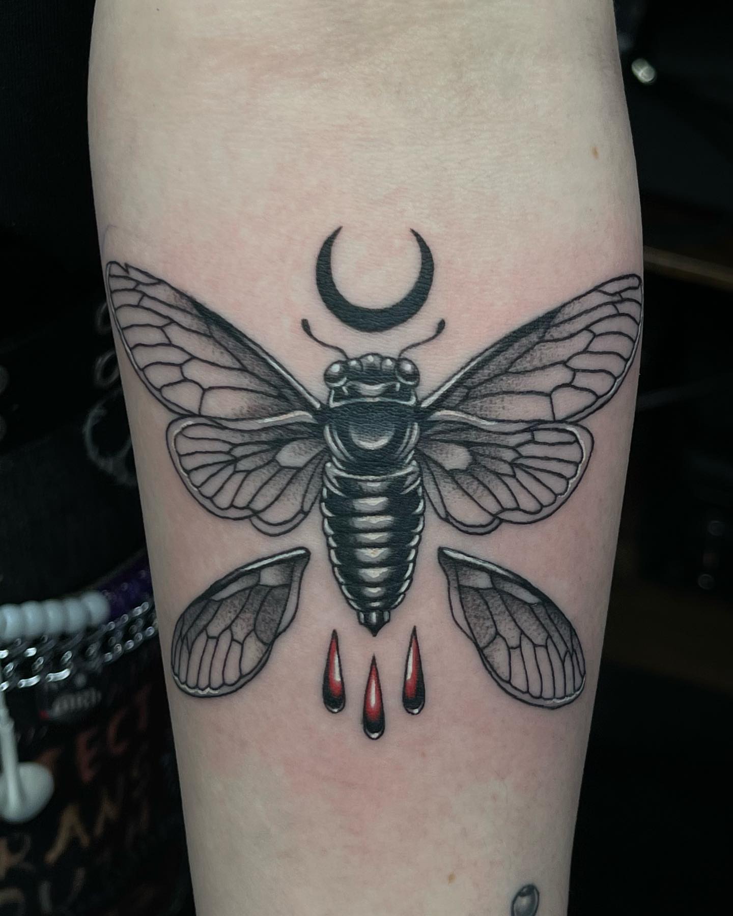 Cicada dotwork tattoo on the forearm by π»ππππ β½ πΏππππ, Franklin, Tennessee