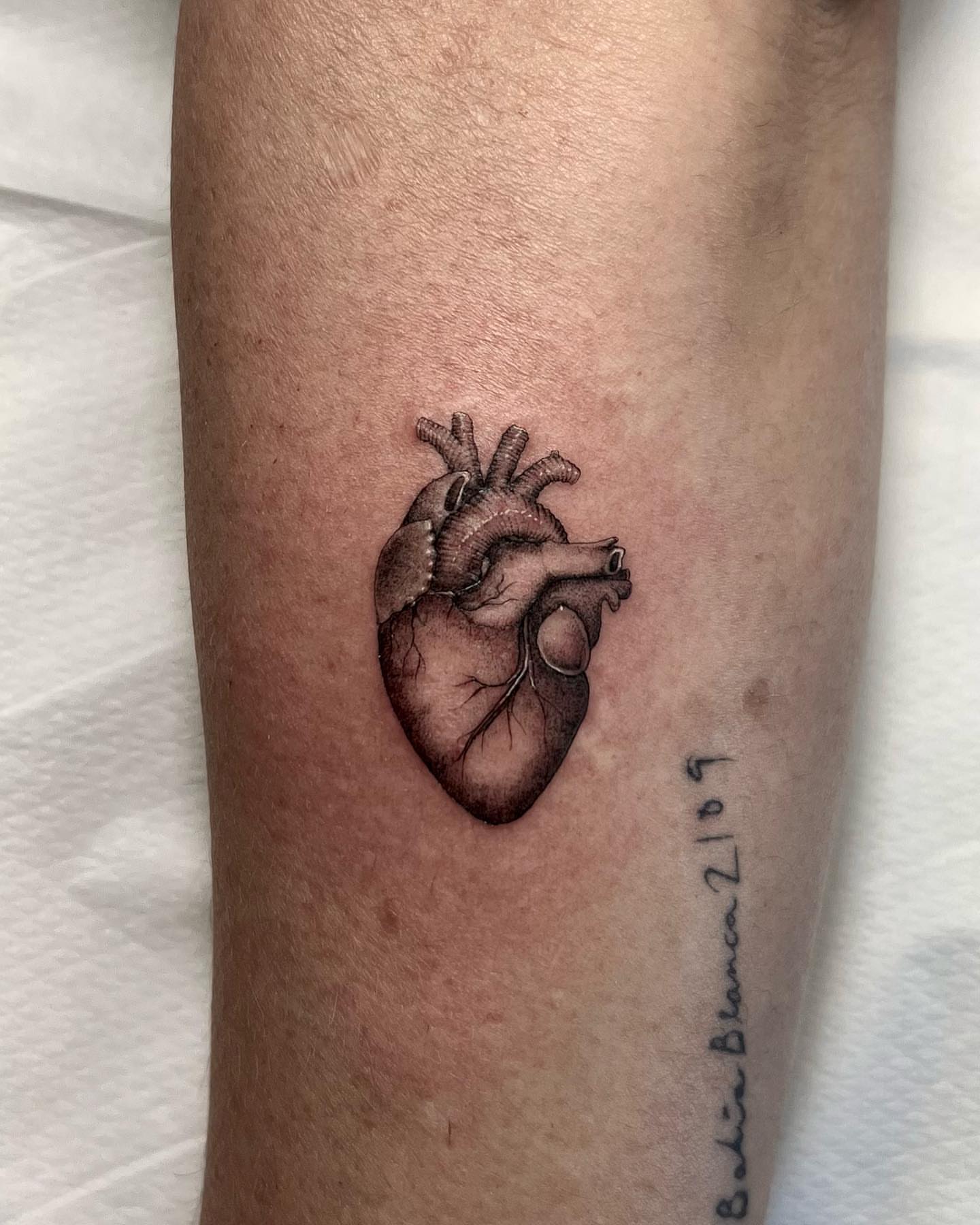 Tattoo by @connalcreates — realism