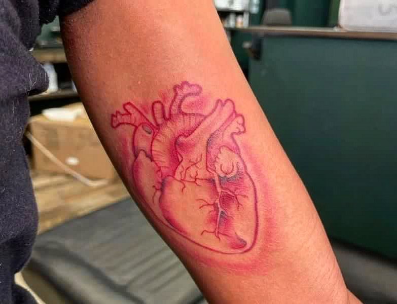 Anatomical heart realism tattoo on the forearm by oxideTattoo, Morne-à-l'Eau